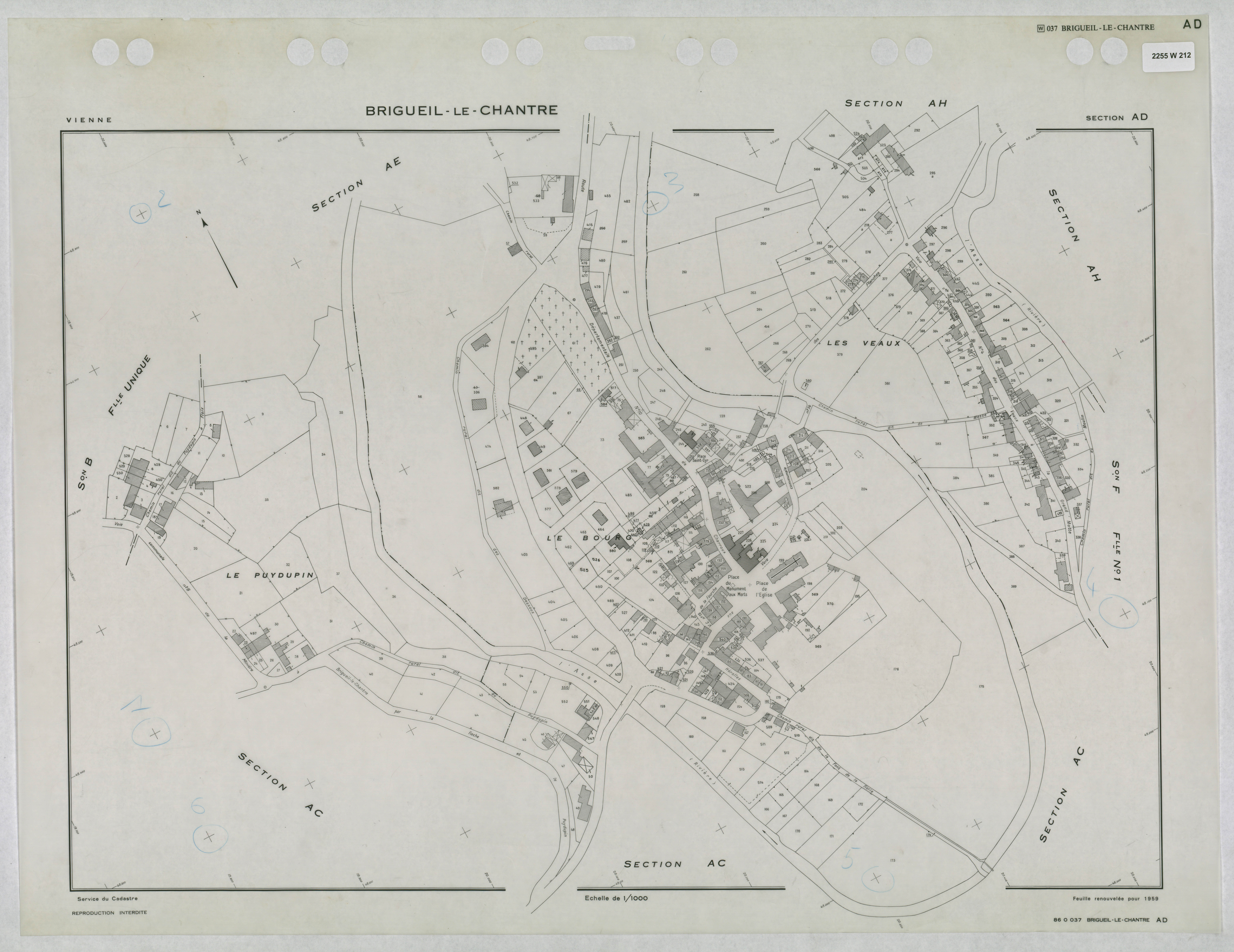 Brigueil-le-Chantre - FRAD086_cadastre Plans renouvelés 