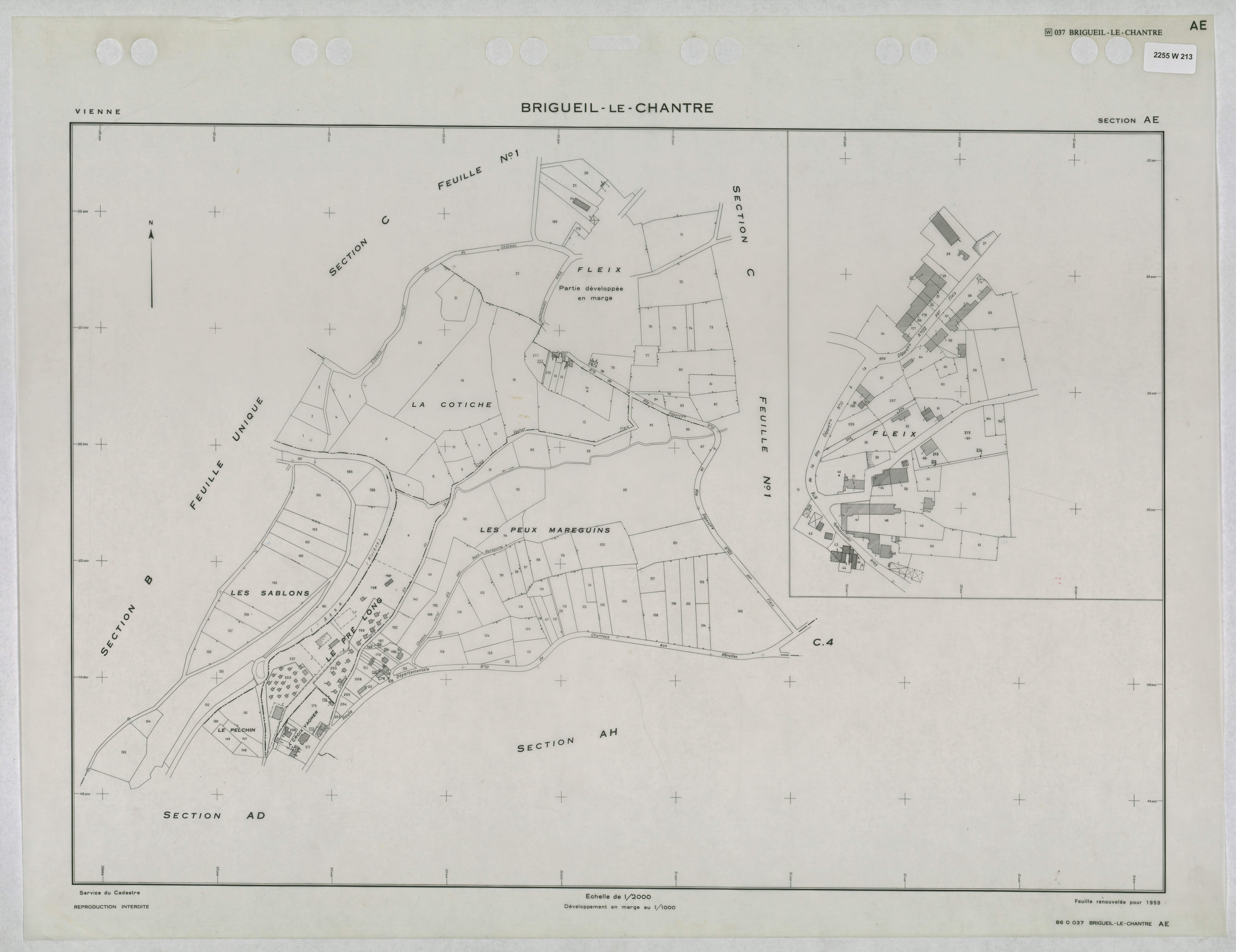 Brigueil-le-Chantre - FRAD086_cadastre Plans renouvelés 