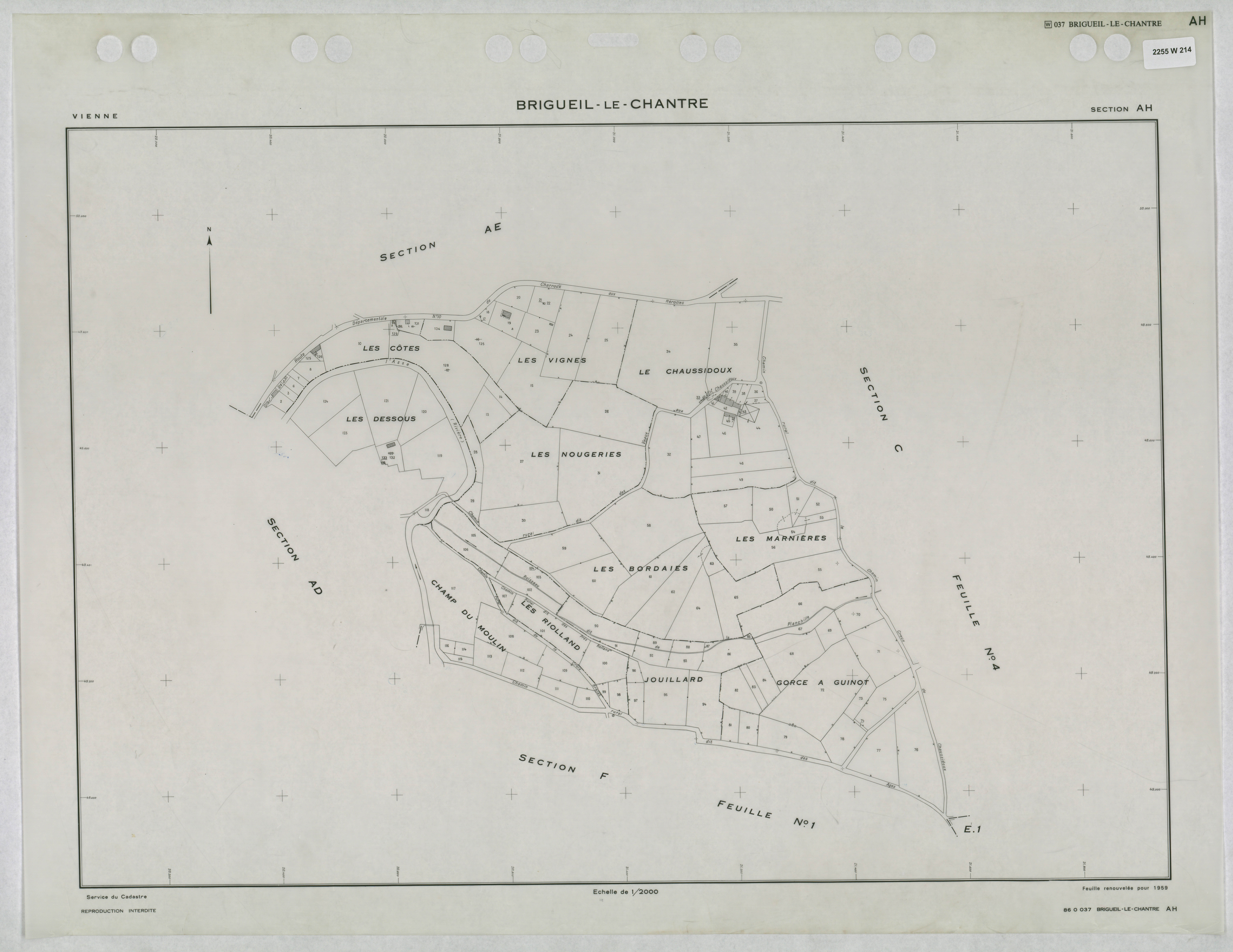 Brigueil-le-Chantre - FRAD086_cadastre Plans renouvelés 