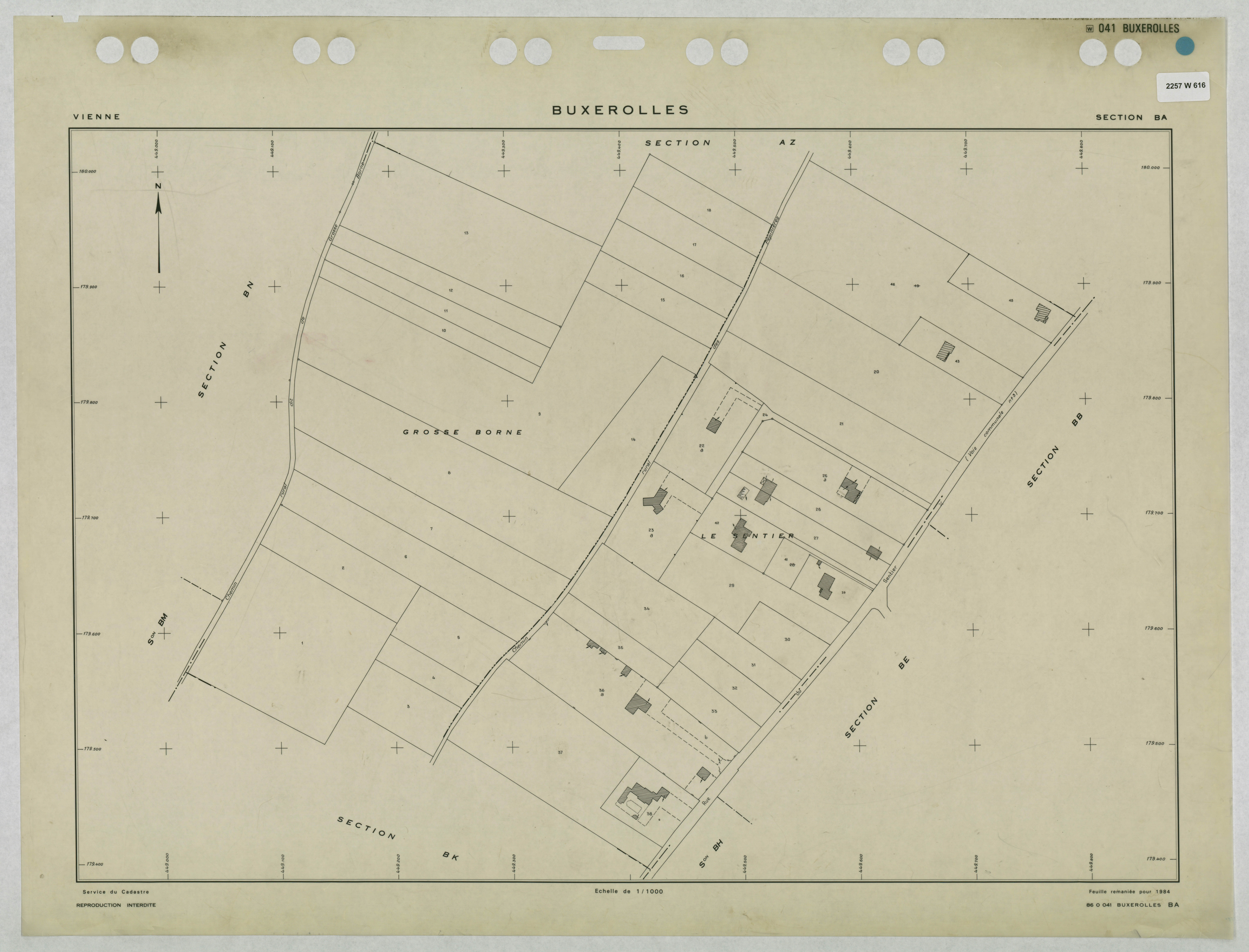 Buxerolles - FRAD086_cadastre Plans remaniés 
