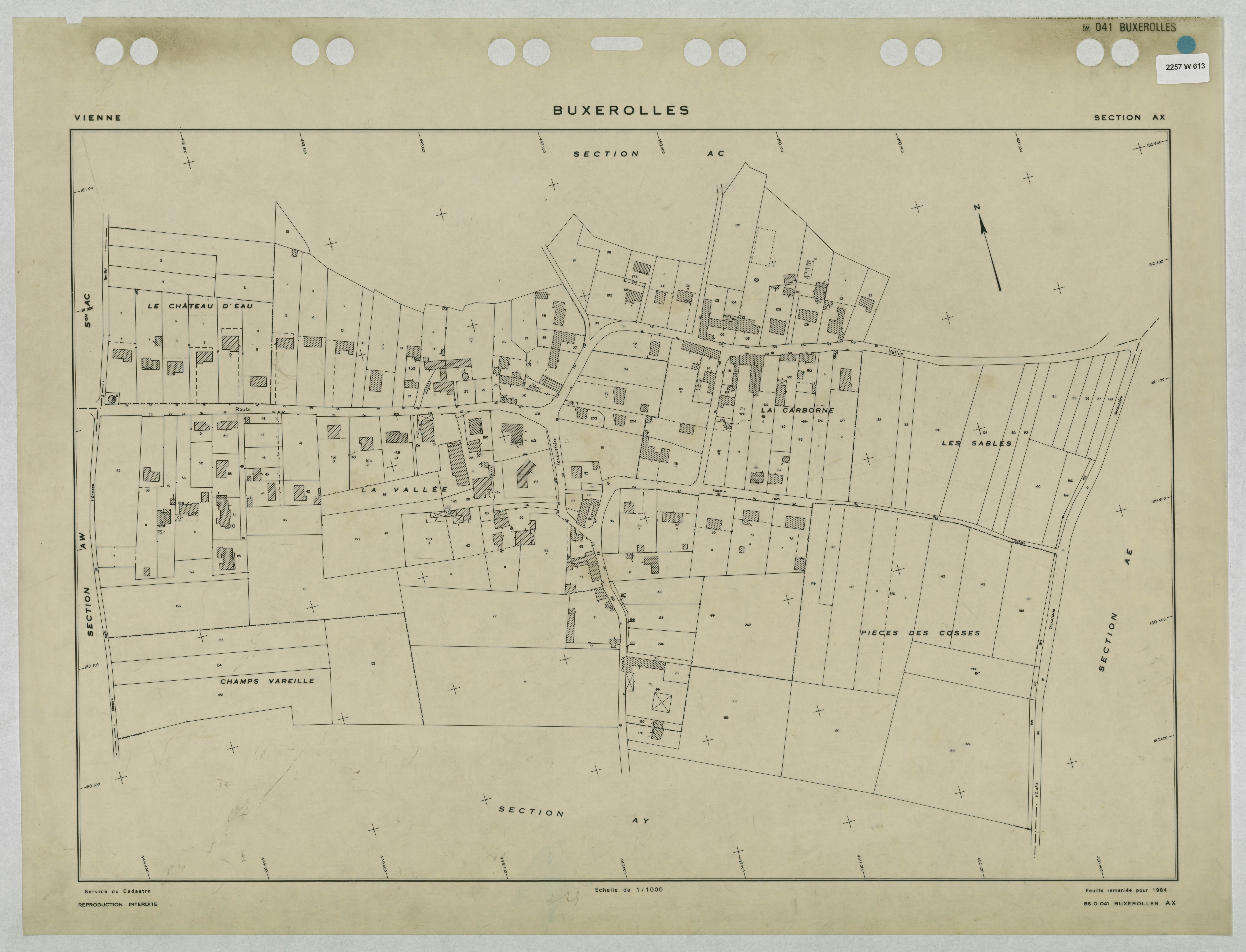 Buxerolles - FRAD086_cadastre Plans remaniés 