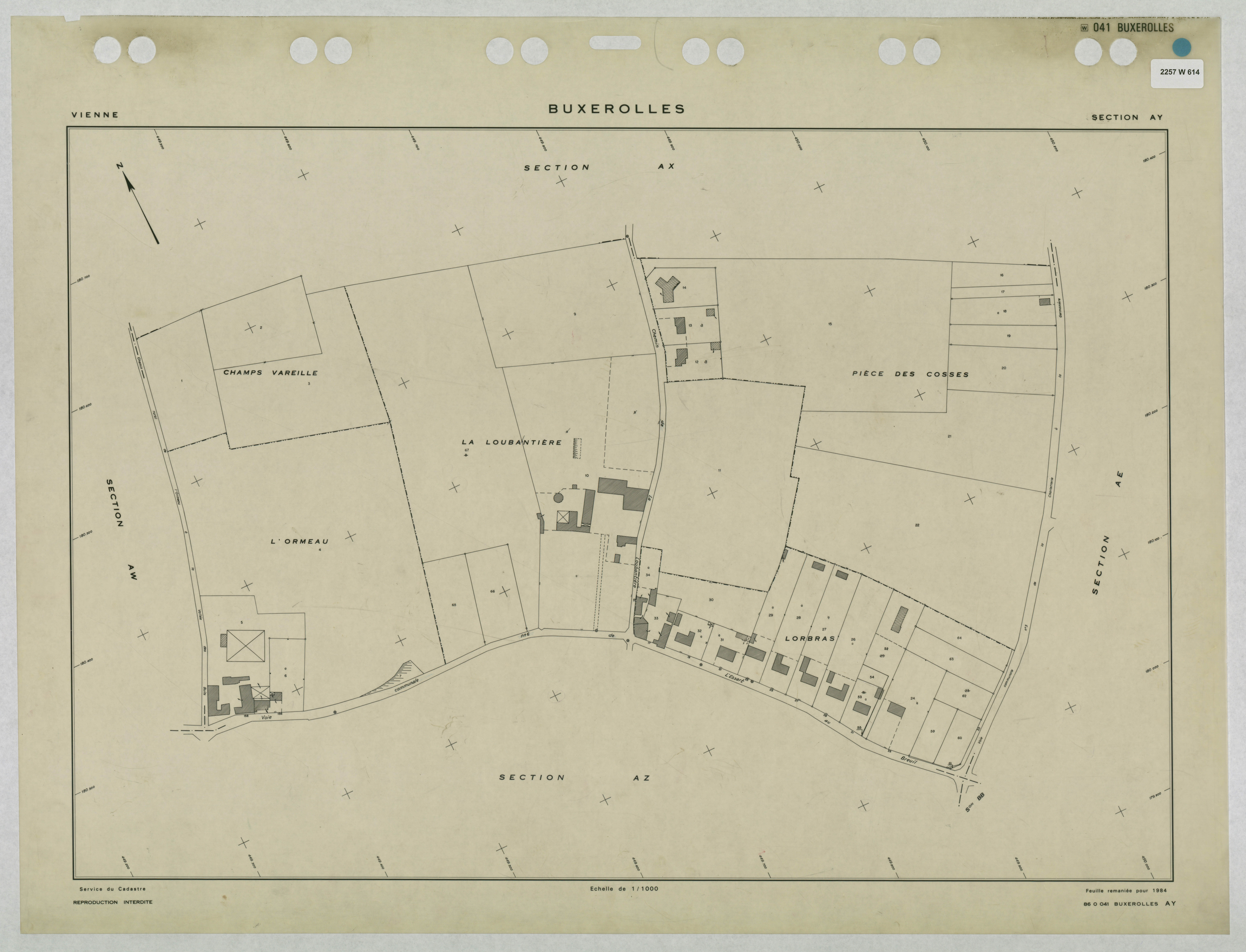 Buxerolles - FRAD086_cadastre Plans remaniés 