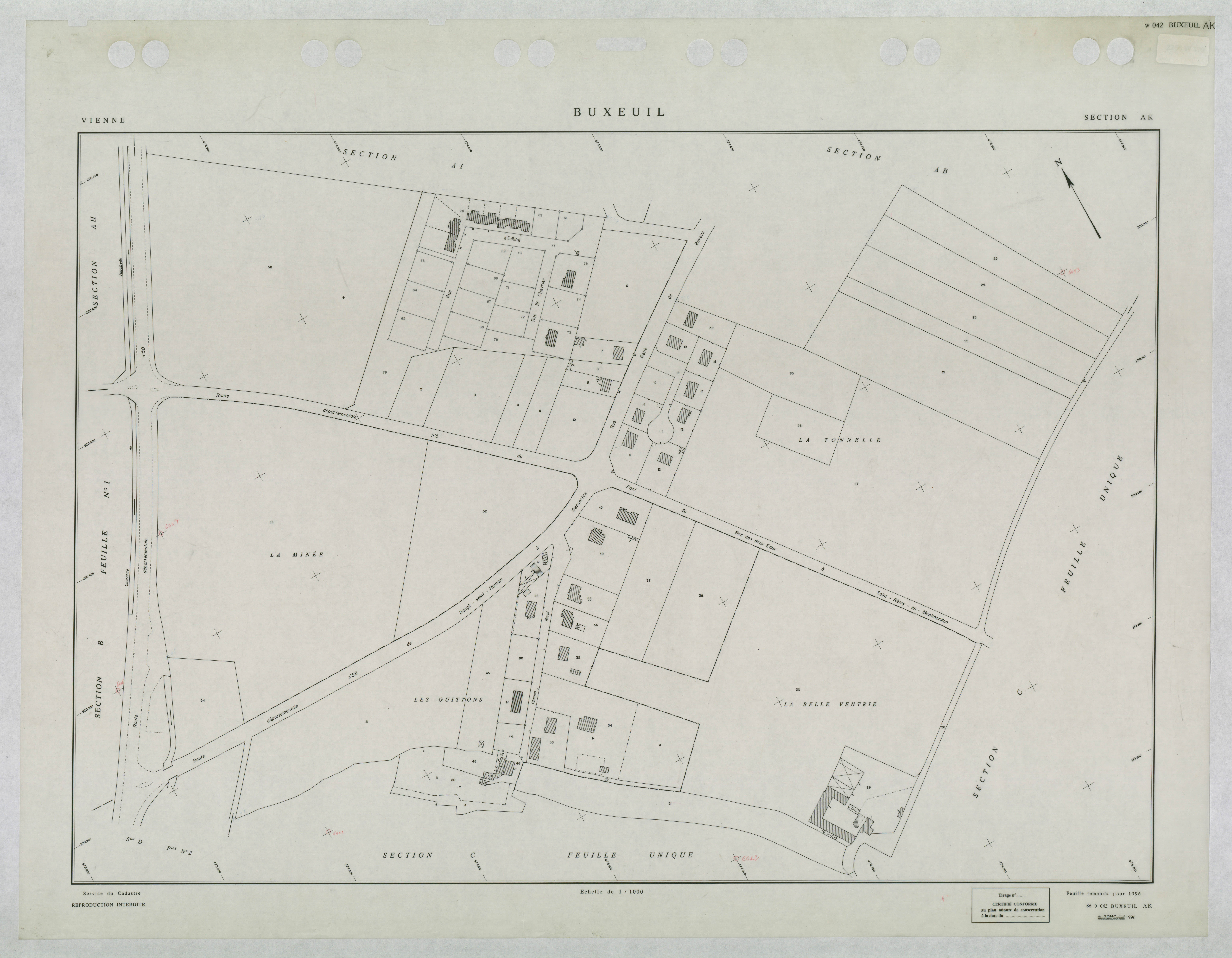 Buxeuil - FRAD086_cadastre Plans remaniés 