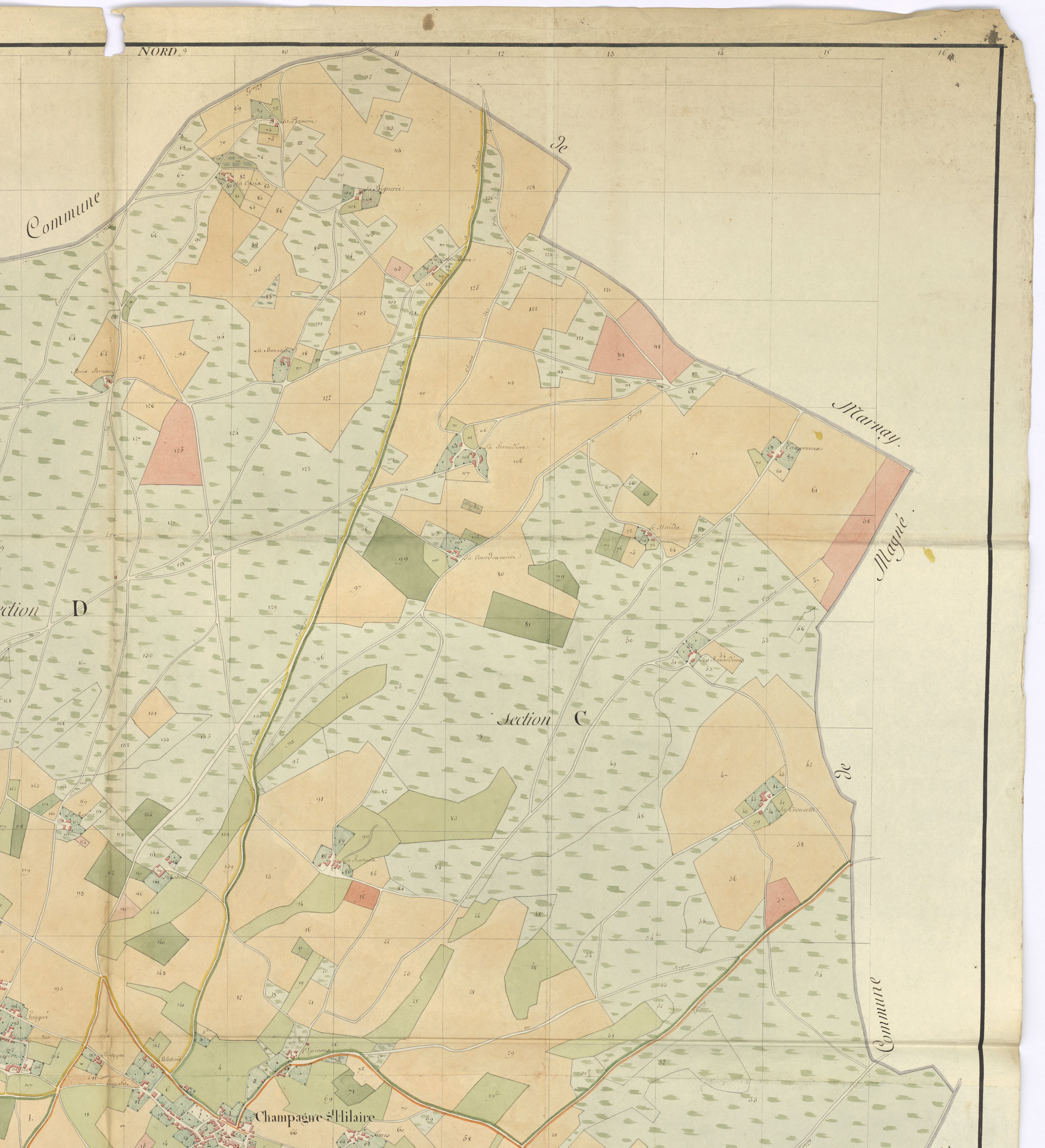 Champagné-Saint-Hilaire - FRAD086_cadastre Plan en couleur, sections A à G (an XII). Plan, sections A à G (1807). 