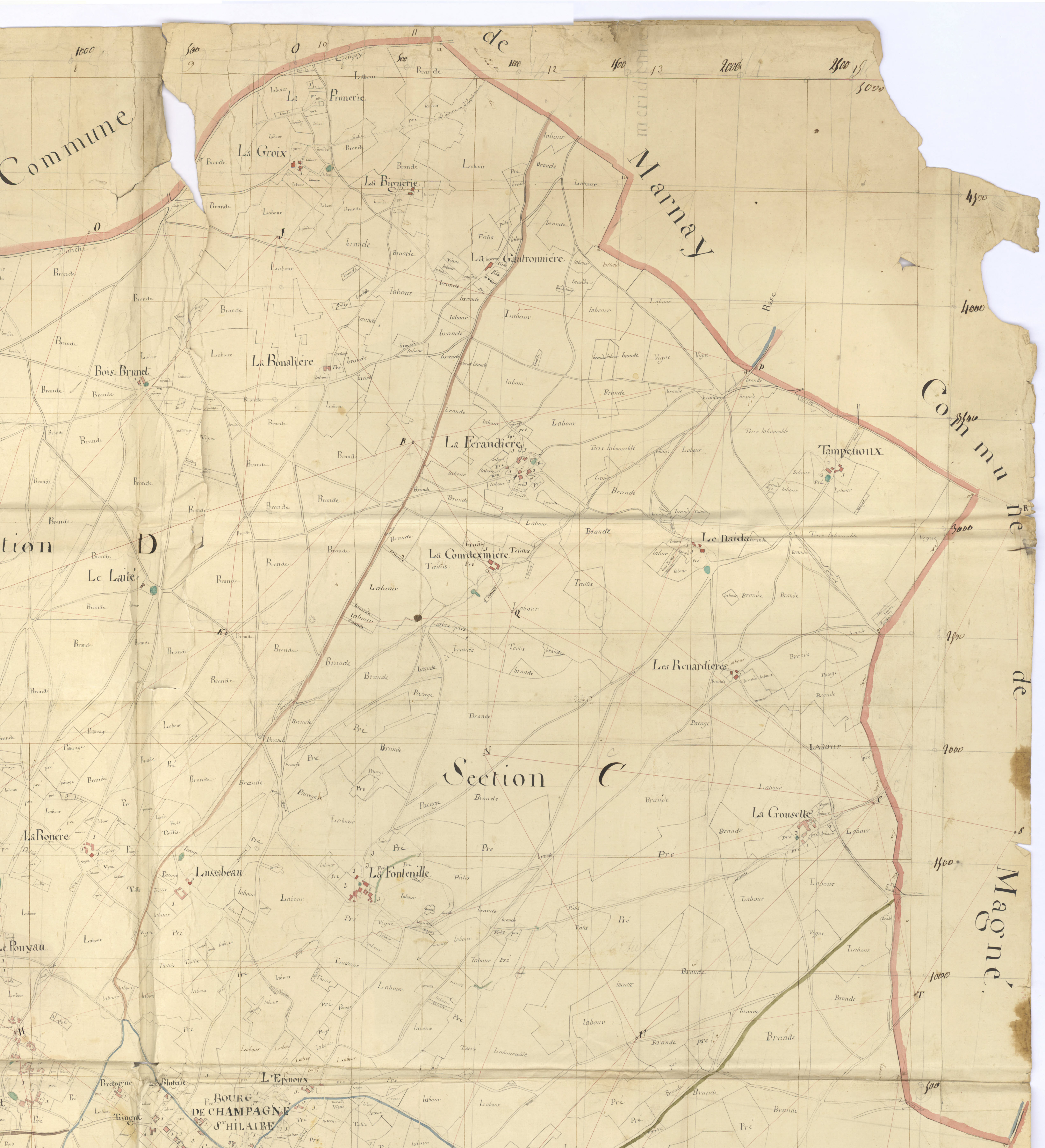 Champagné-Saint-Hilaire - FRAD086_cadastre Plan en couleur, sections A à G (an XII). Plan, sections A à G (1807). 