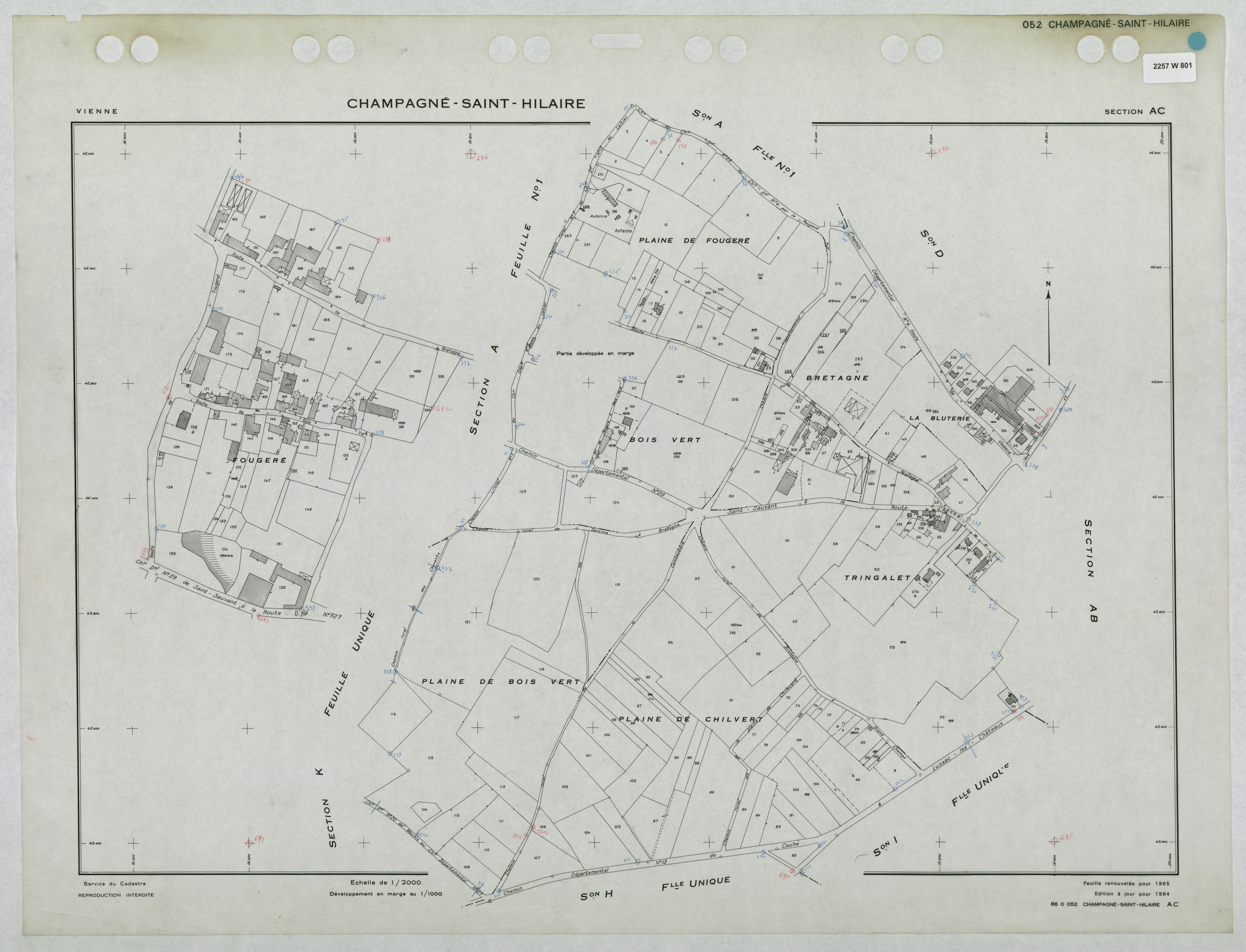 Champagné-Saint-Hilaire - FRAD086_cadastre Plans renouvelés 