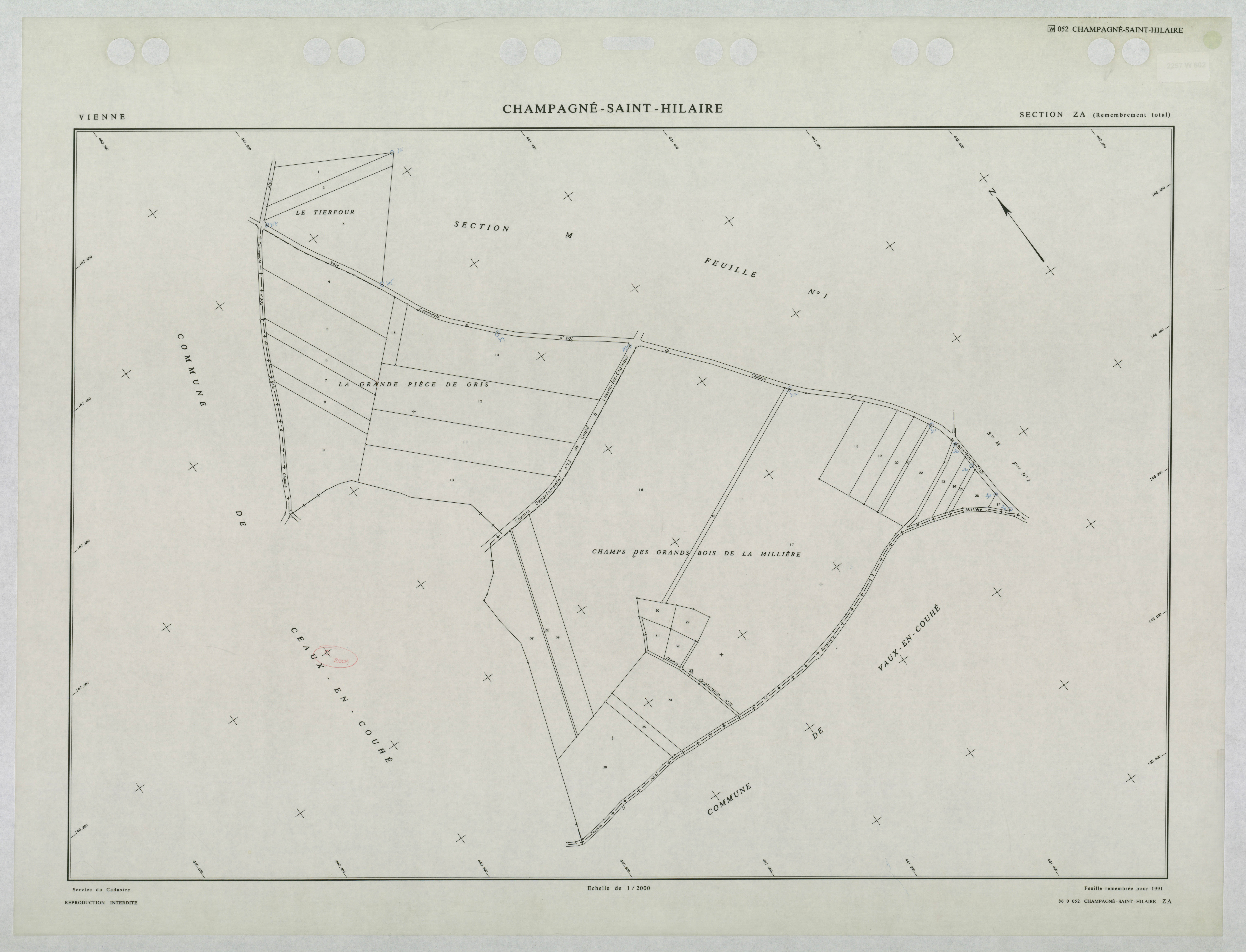 Champagné-Saint-Hilaire - FRAD086_cadastre Plans remembrés 
