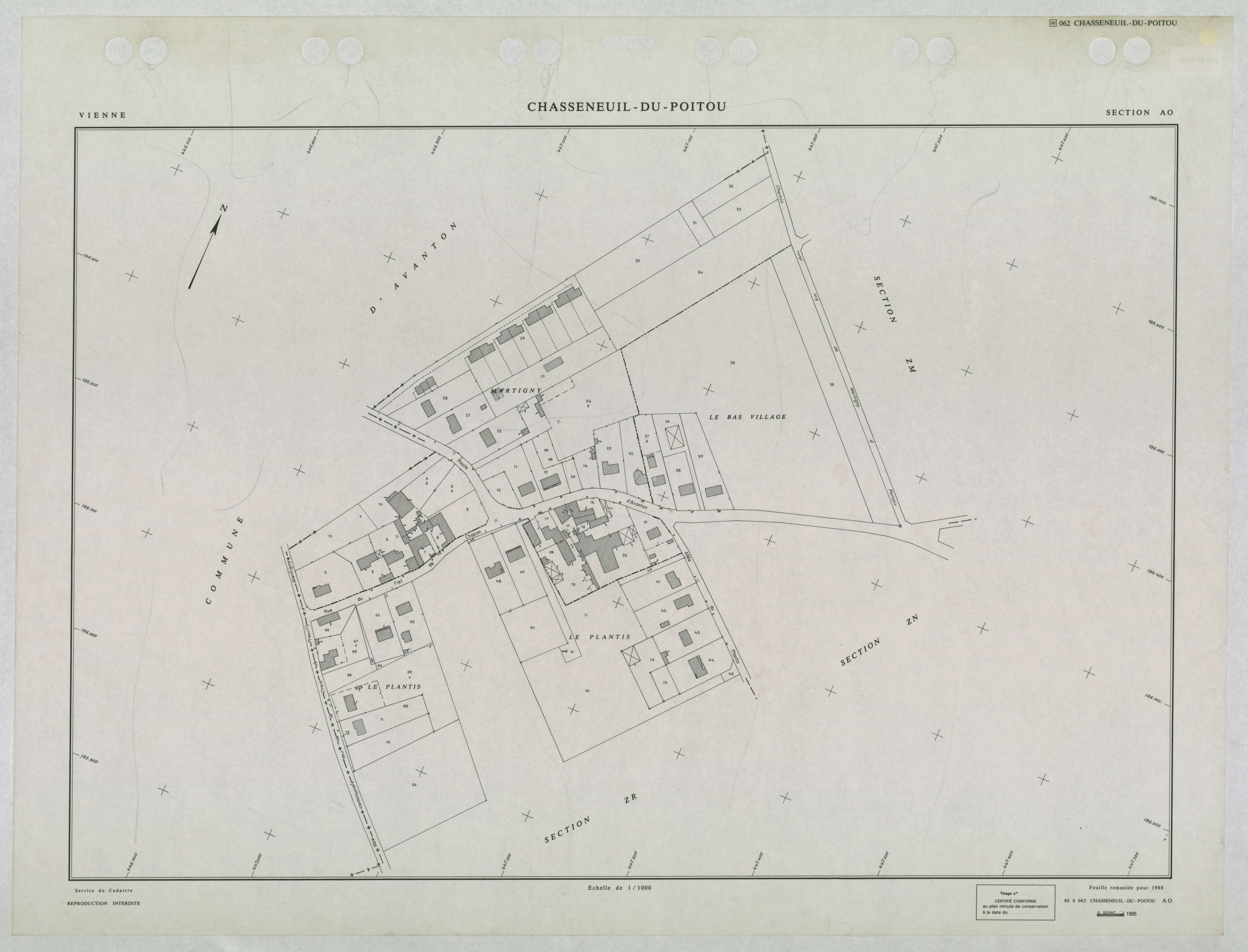 Chasseneuil-du-Poitou - FRAD086_cadastre Plans remaniés 