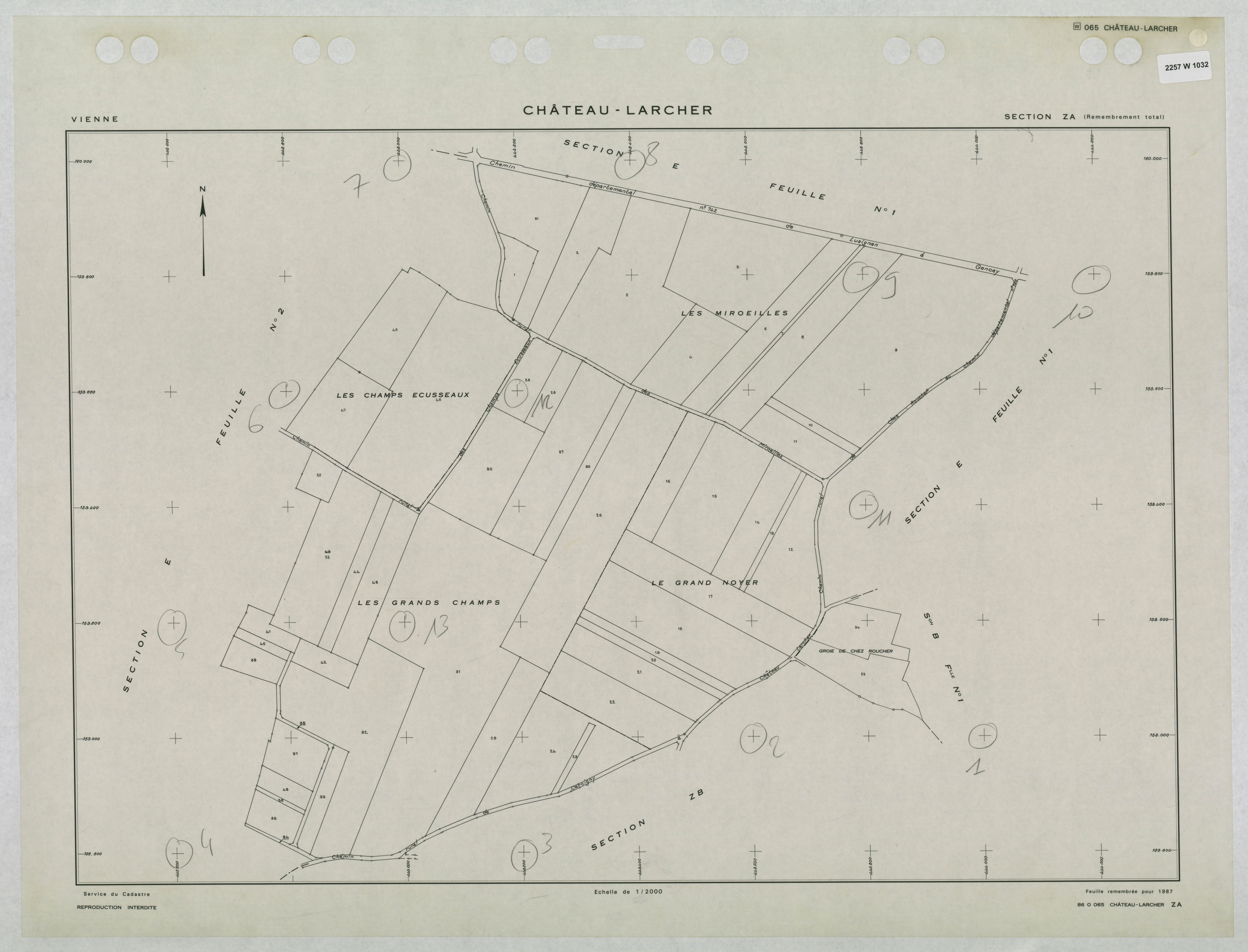 Château-Larcher - FRAD086_cadastre Plans remembrés 