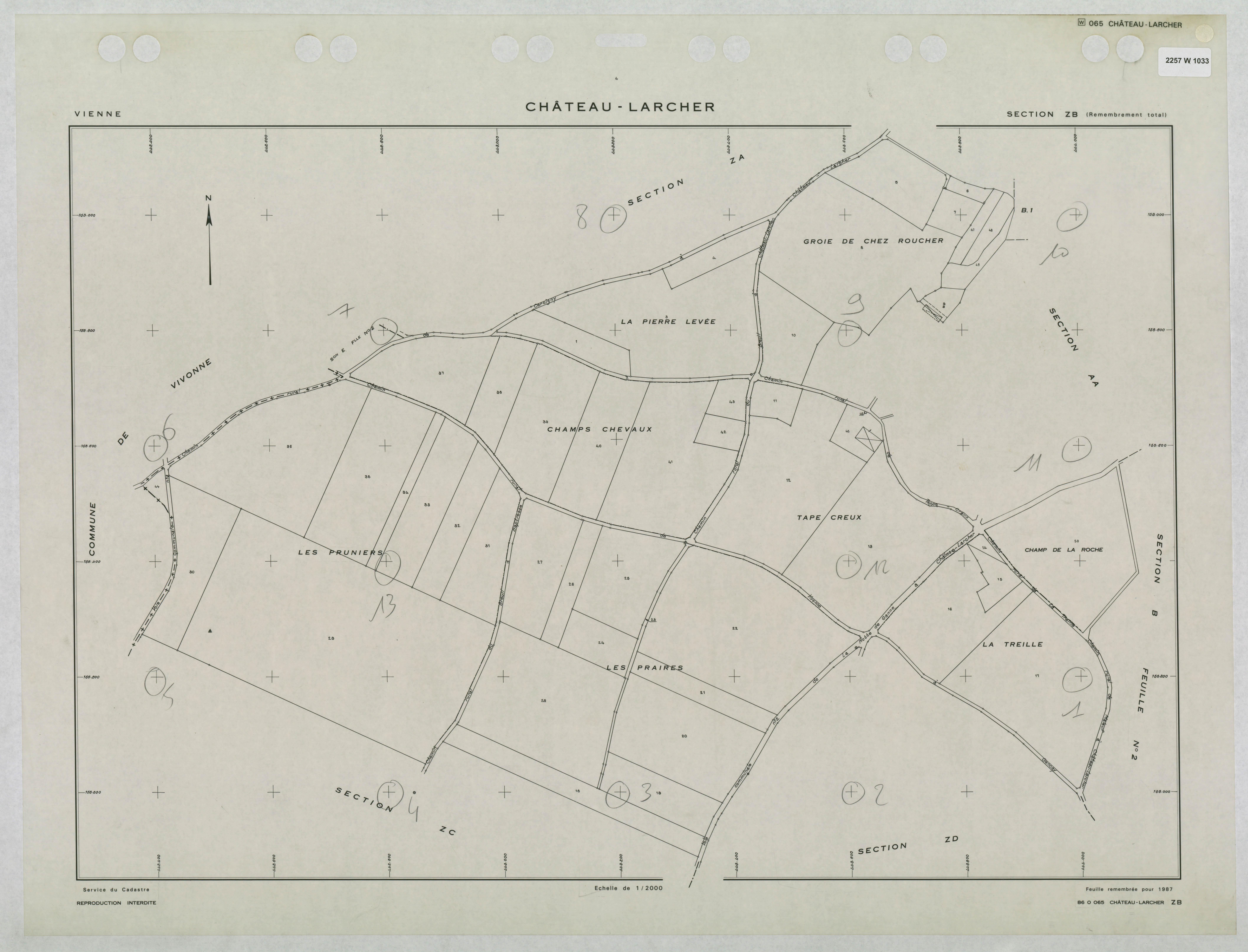 Château-Larcher - FRAD086_cadastre Plans remembrés 