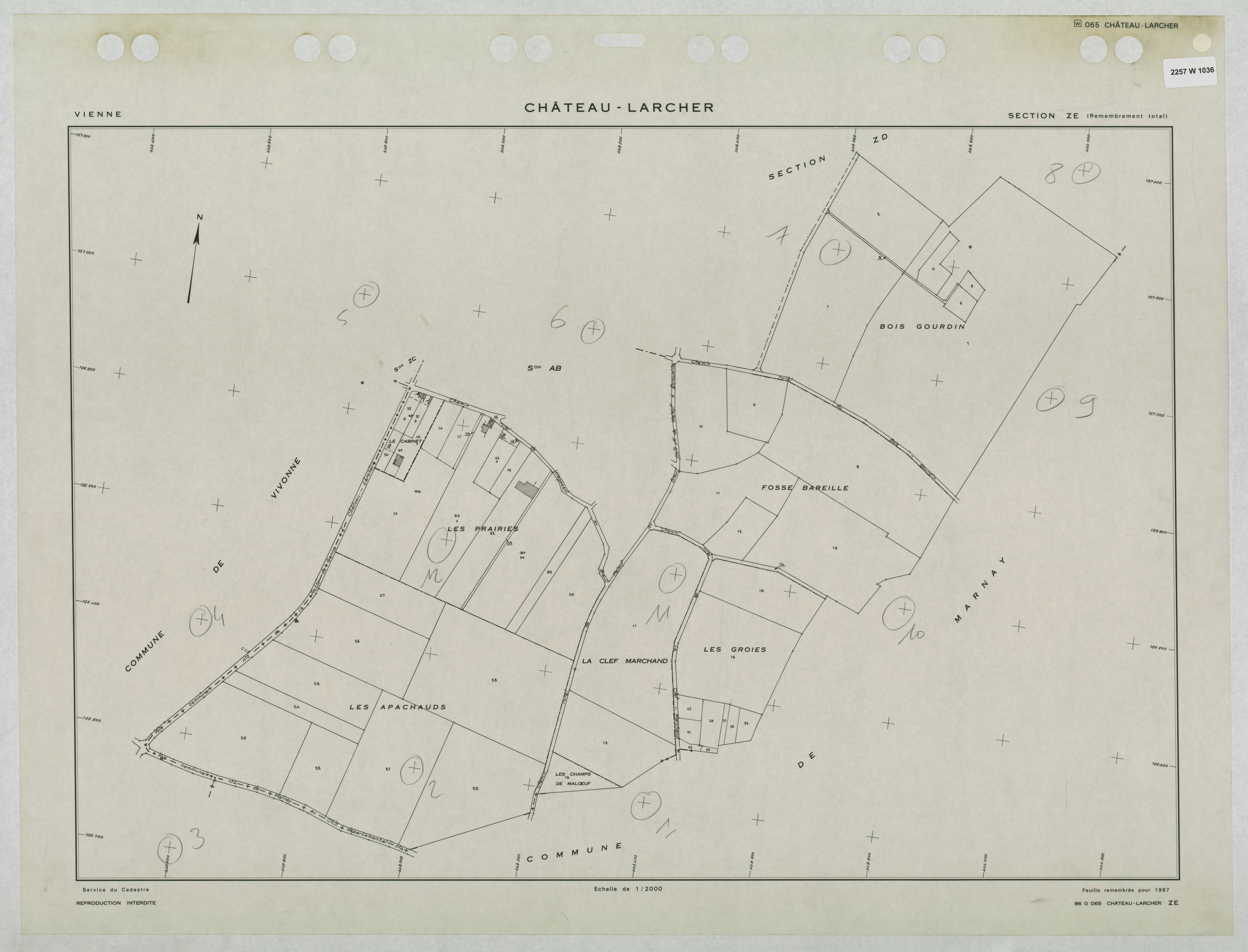 Château-Larcher - FRAD086_cadastre Plans remembrés 