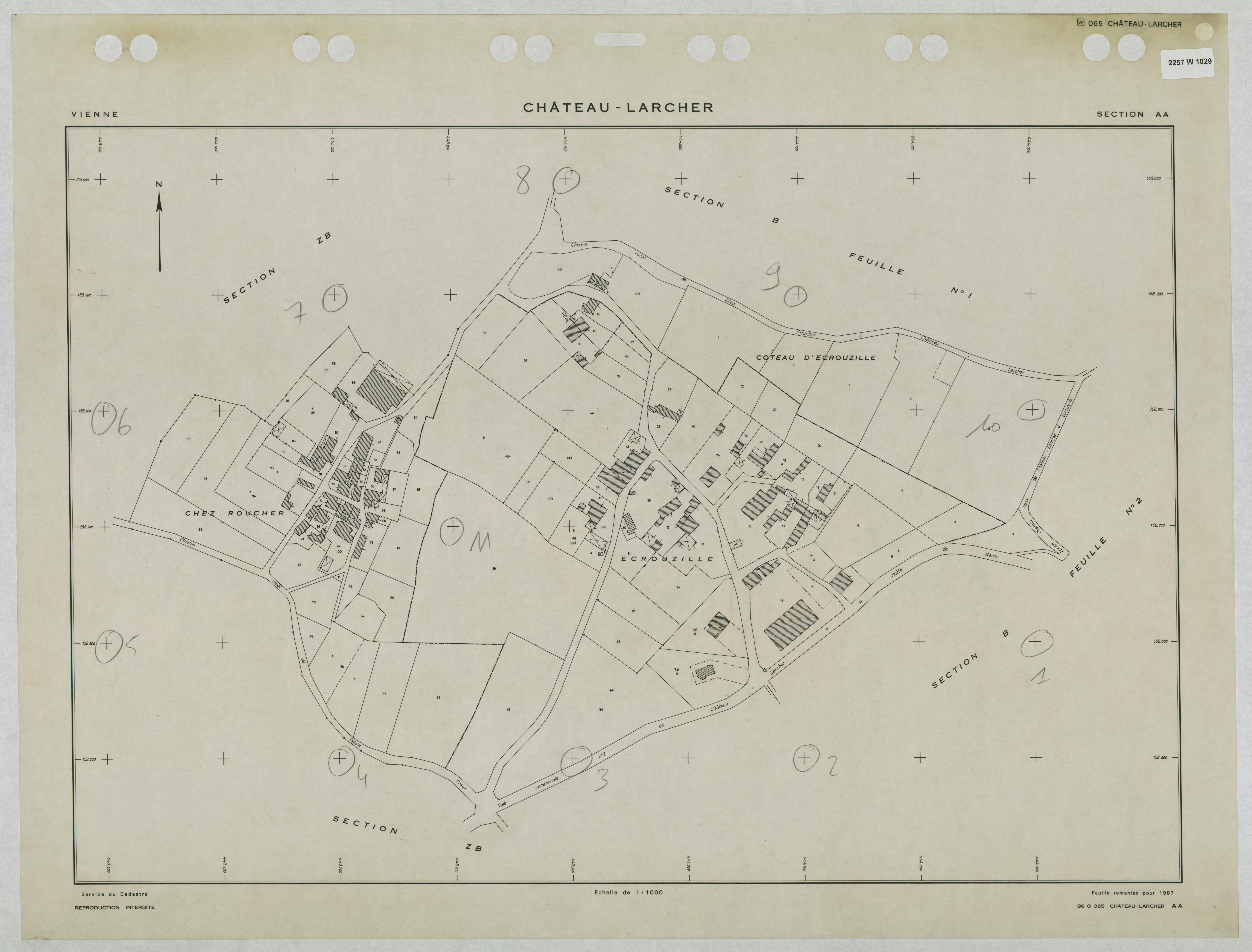 Château-Larcher - FRAD086_cadastre Plans remaniés 