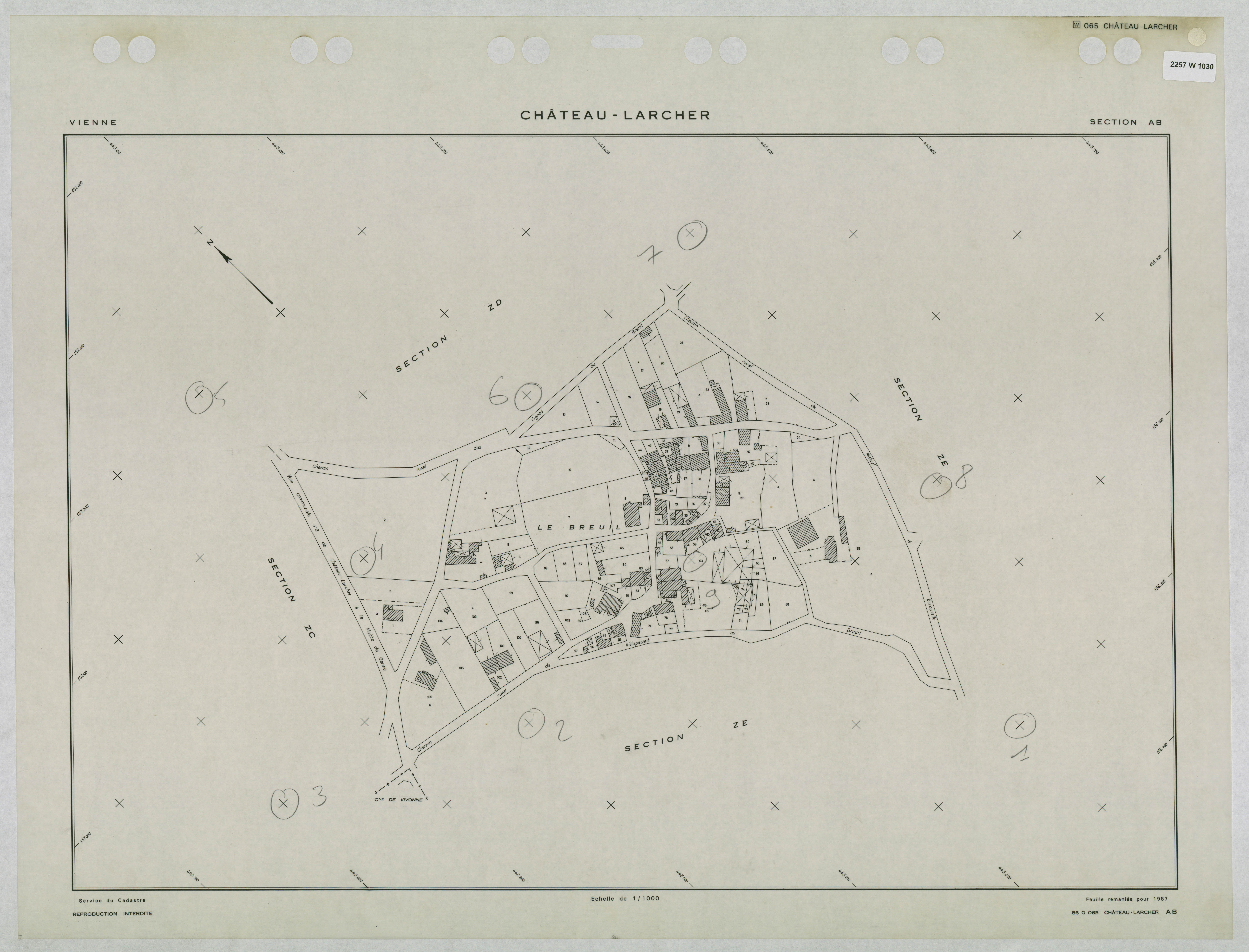 Château-Larcher - FRAD086_cadastre Plans remaniés 