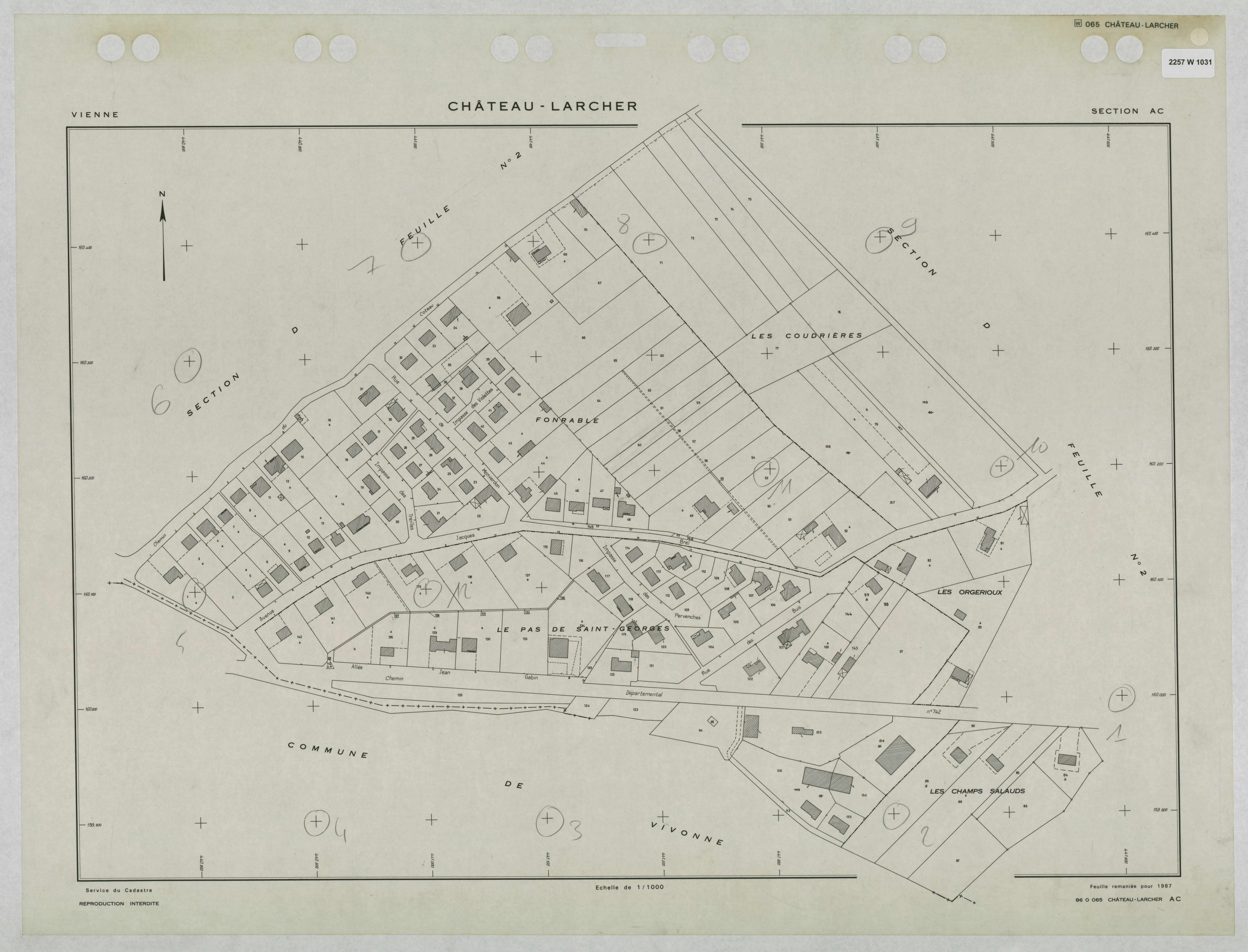 Château-Larcher - FRAD086_cadastre Plans remaniés 