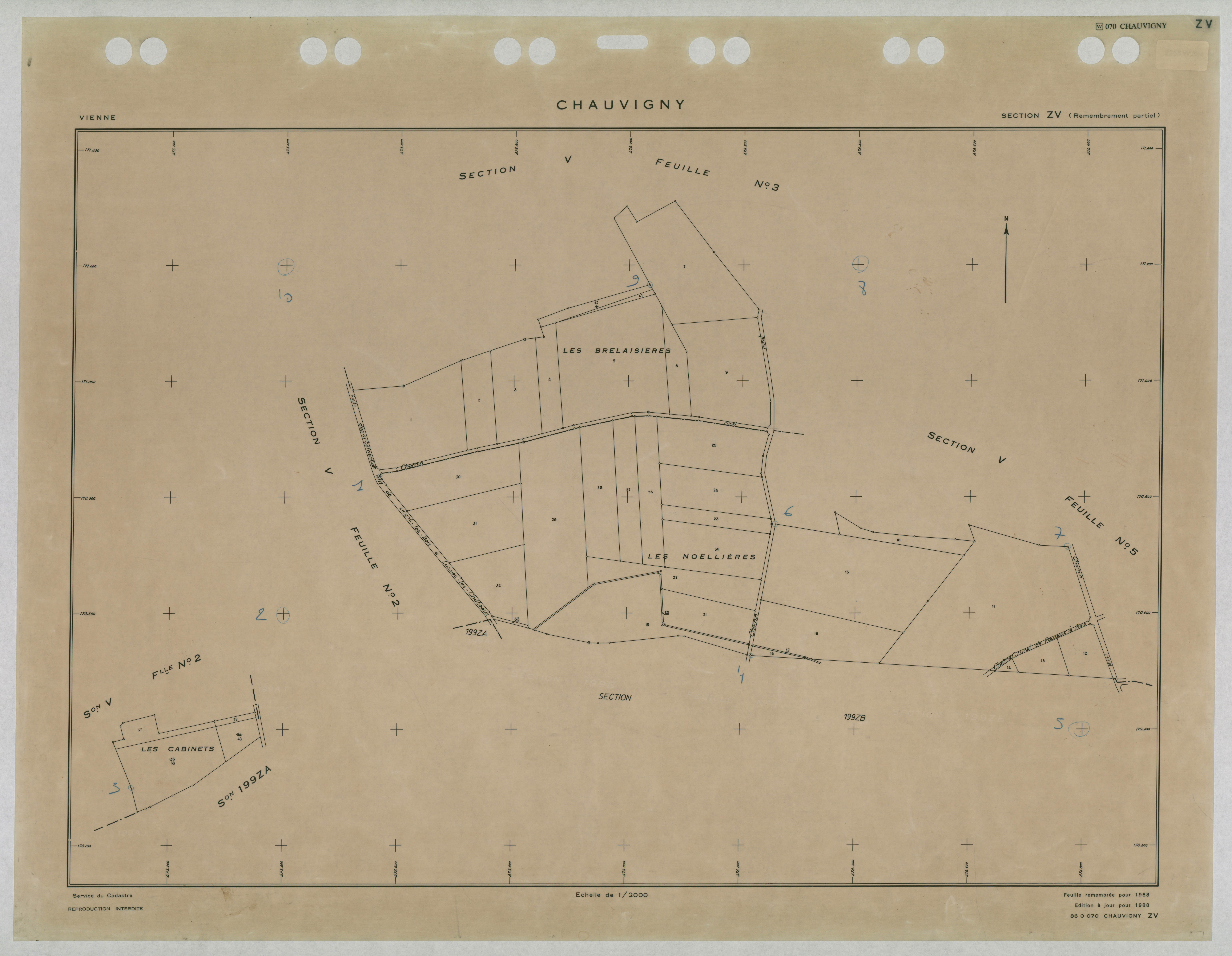 Chauvigny - FRAD086_cadastre Plans remembrés 