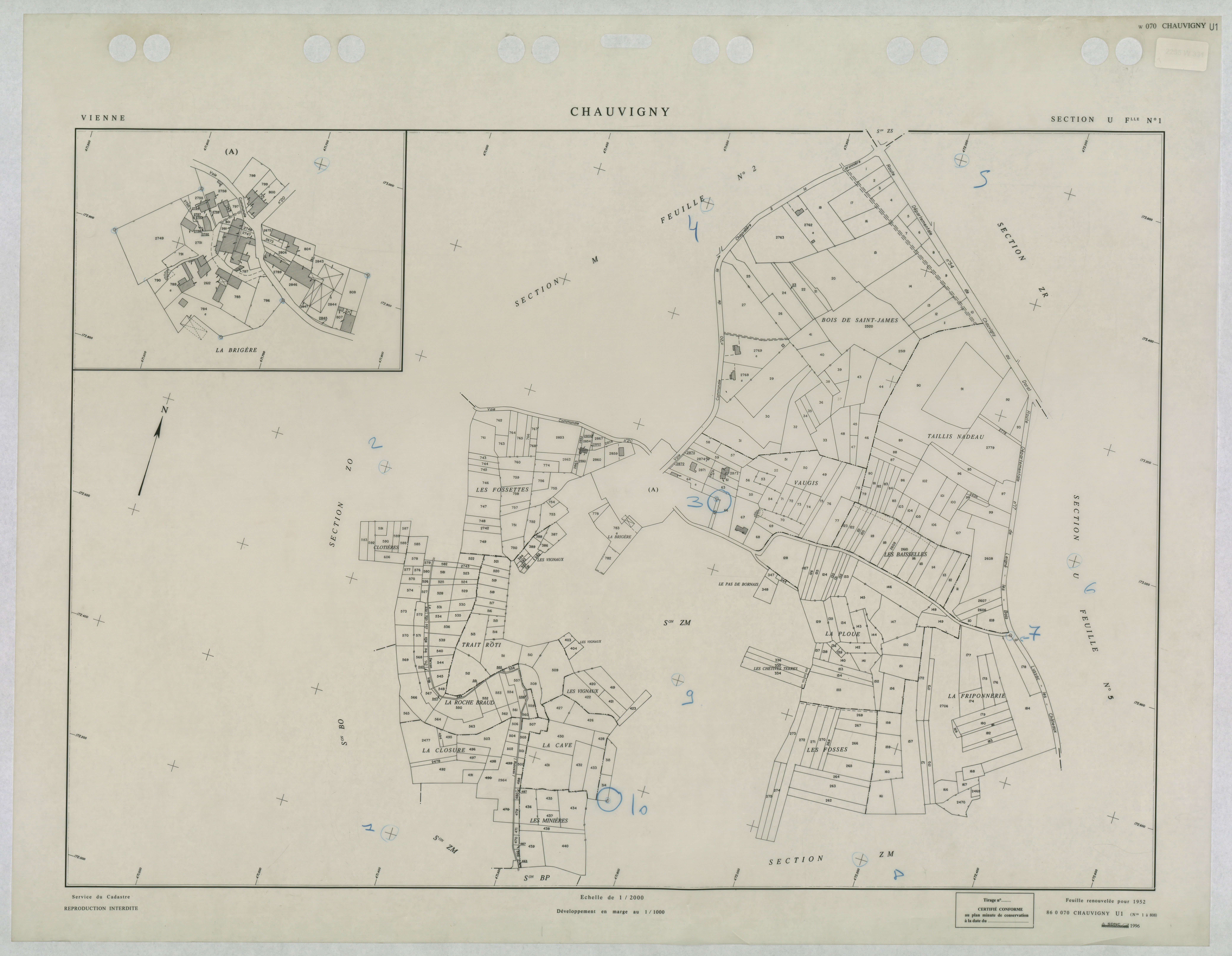 Chauvigny - FRAD086_cadastre Plans renouvelés 