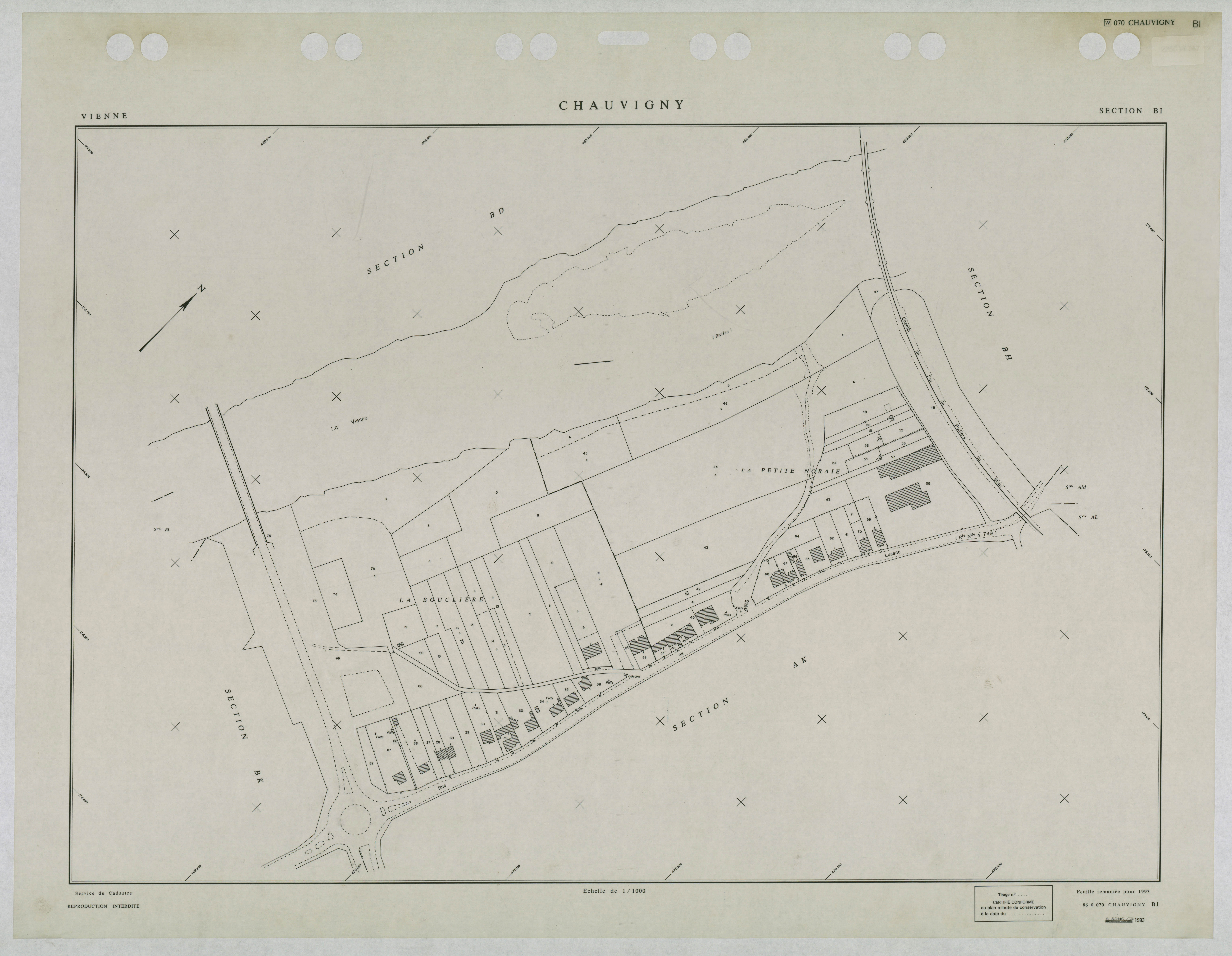 Chauvigny - FRAD086_cadastre Plans remaniés 