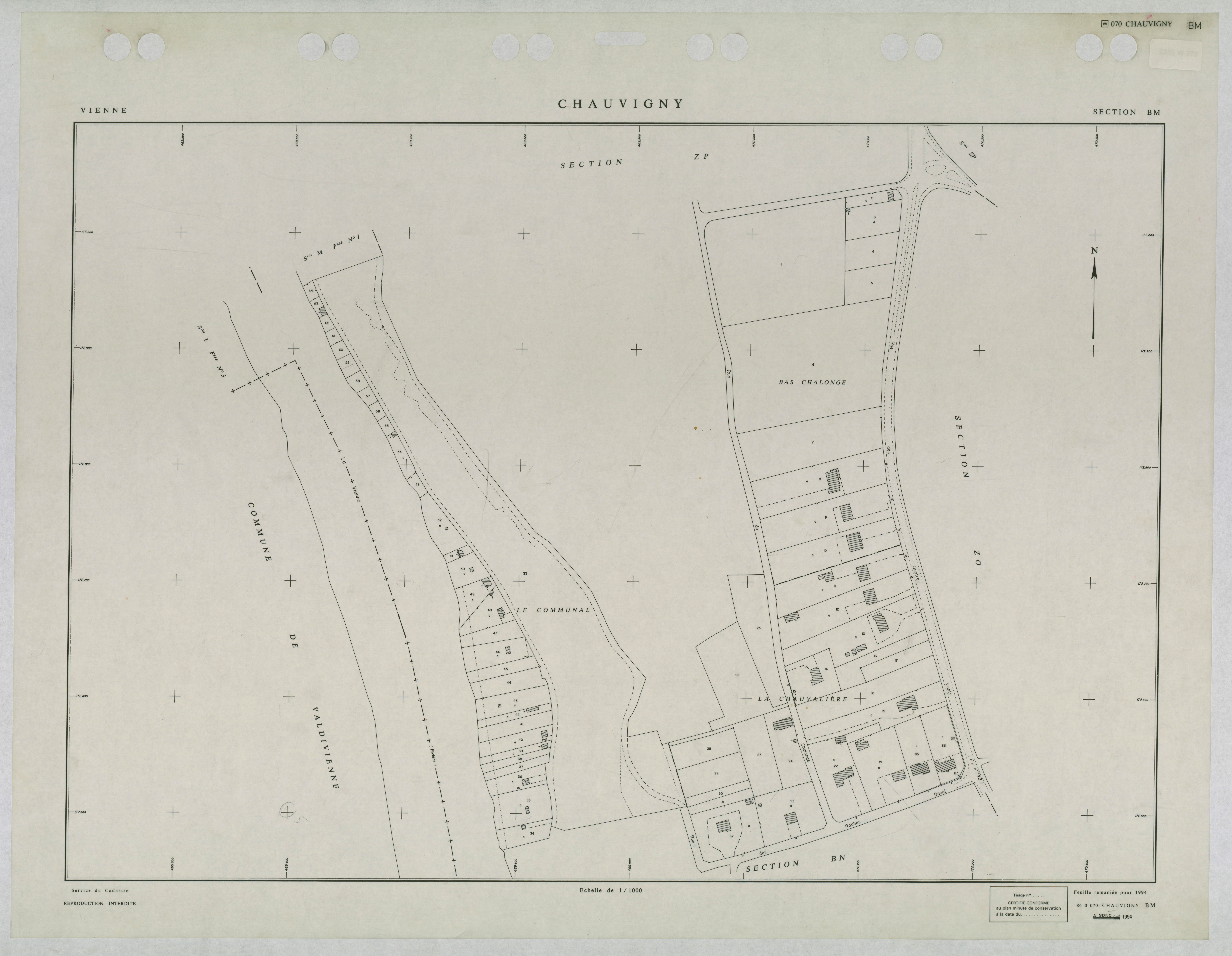 Chauvigny - FRAD086_cadastre Plans remaniés 