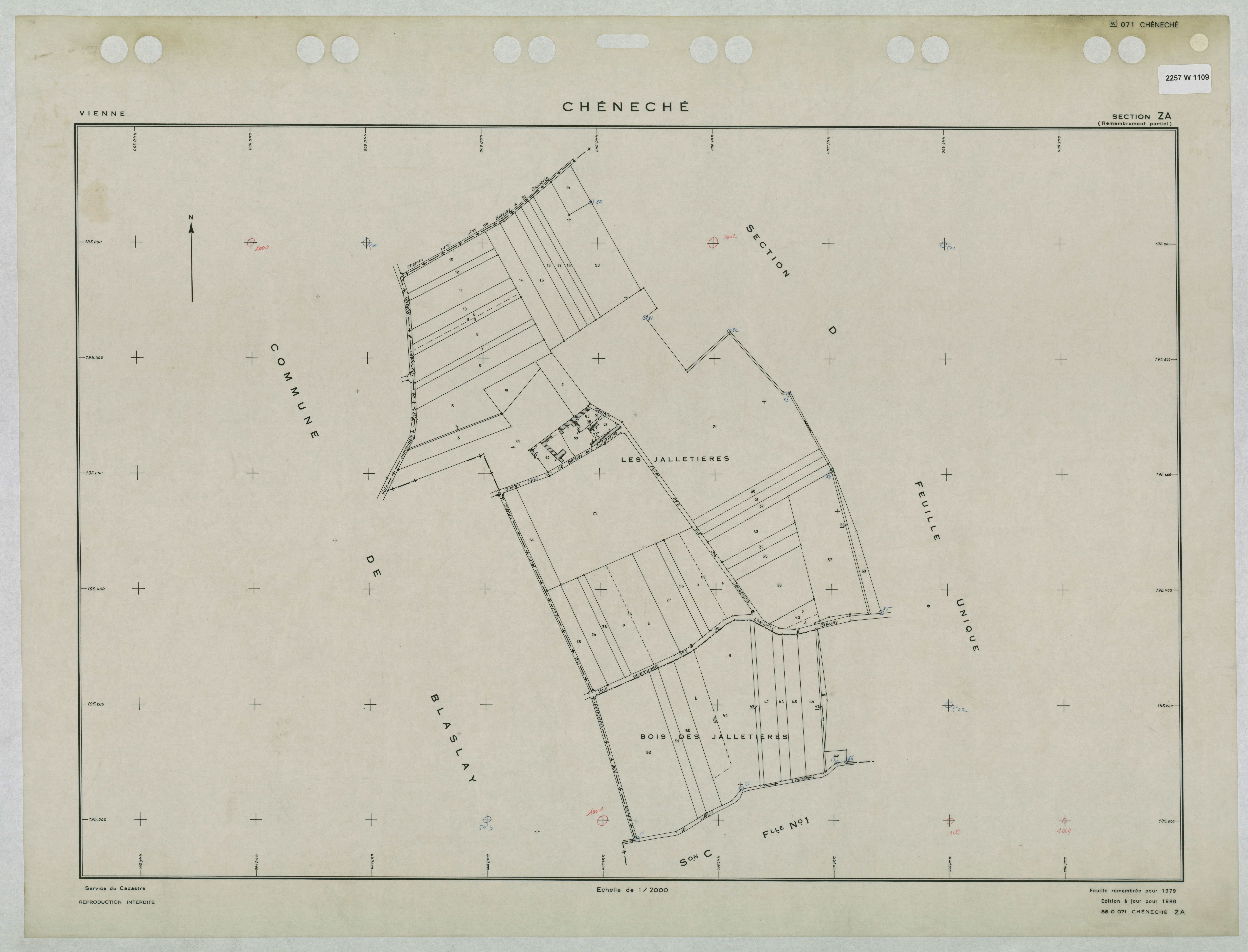 Cheneché - FRAD086_cadastre Plans remembrés 