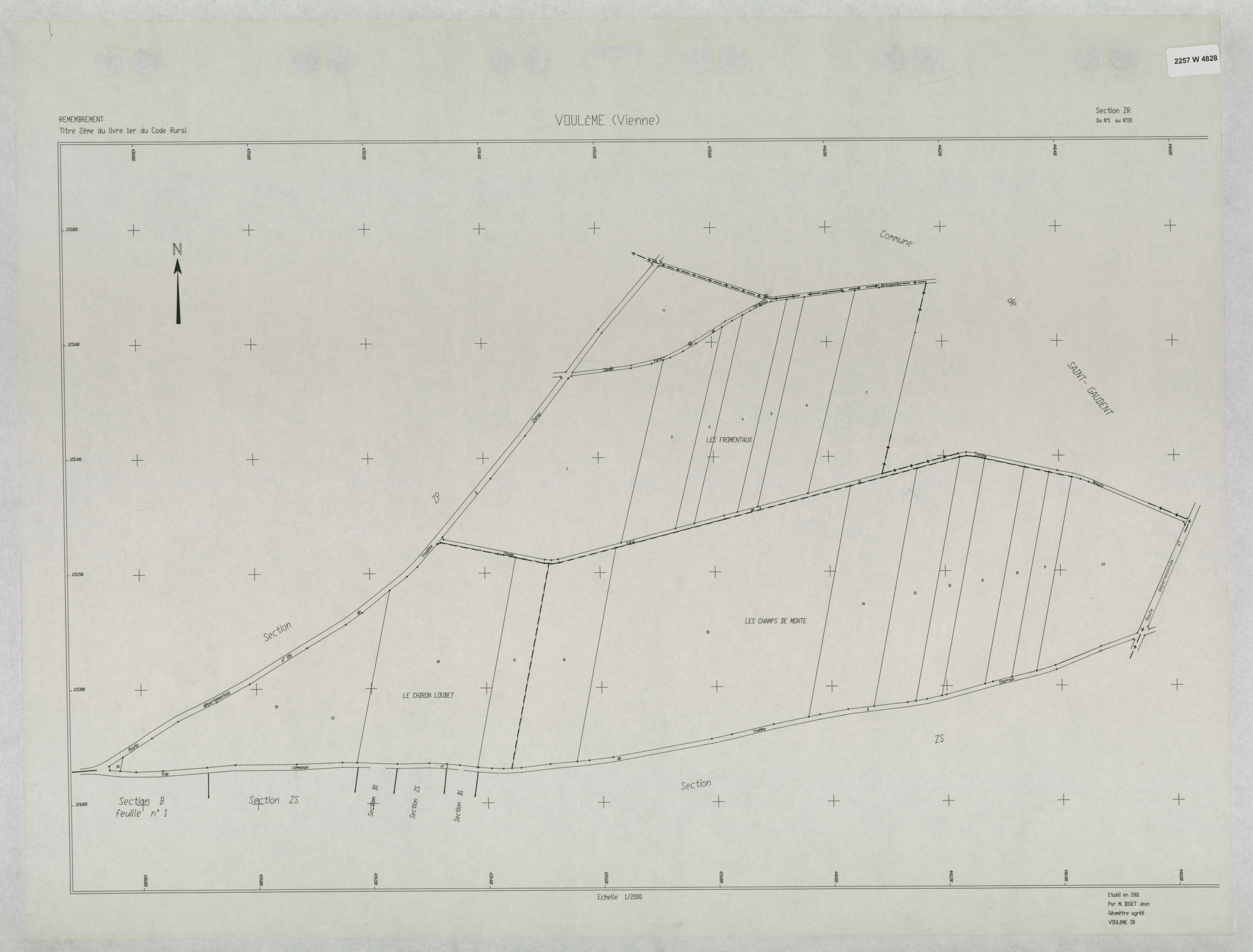 Voulême - FRAD086_cadastre Plans remembrés 