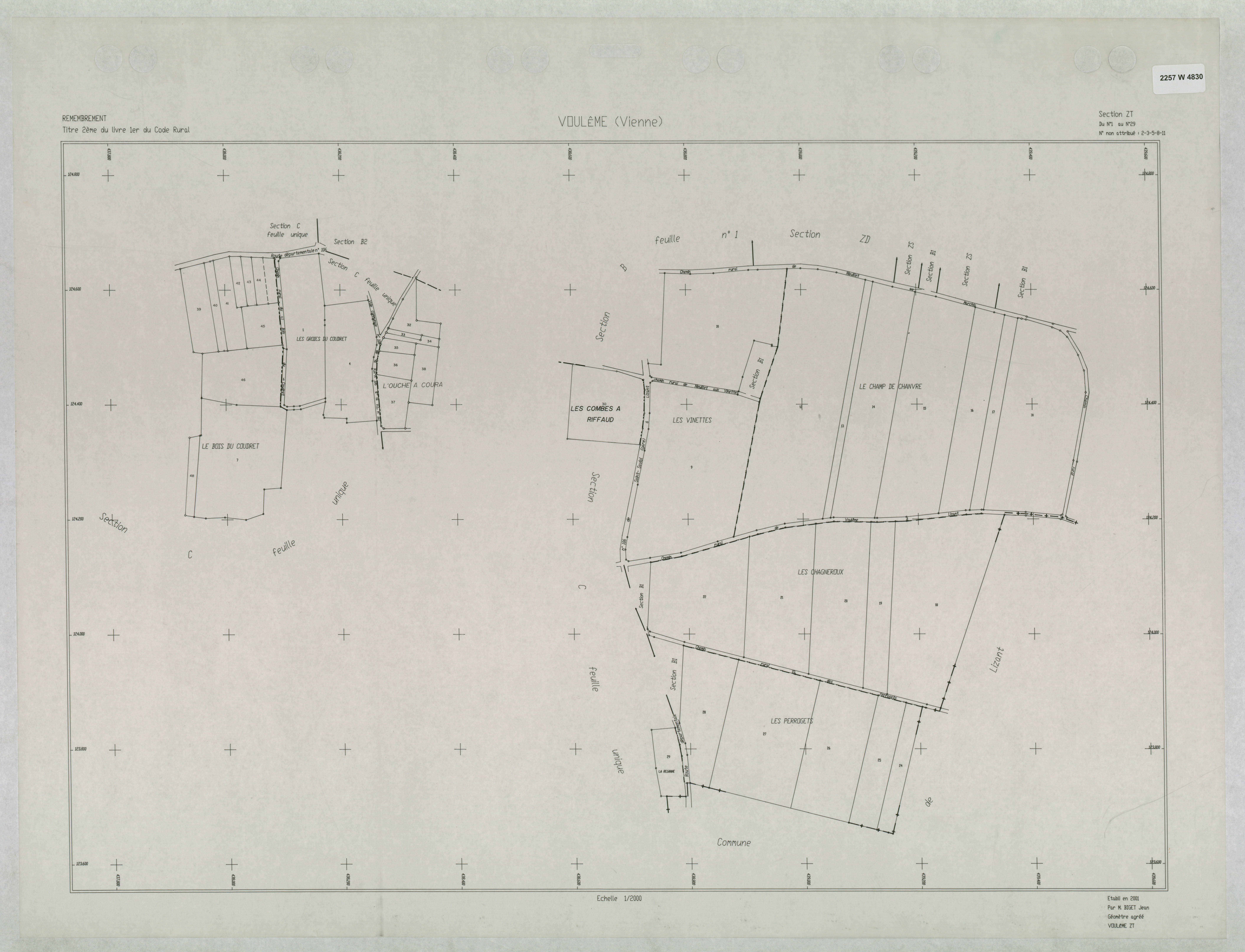 Voulême - FRAD086_cadastre Plans remembrés 