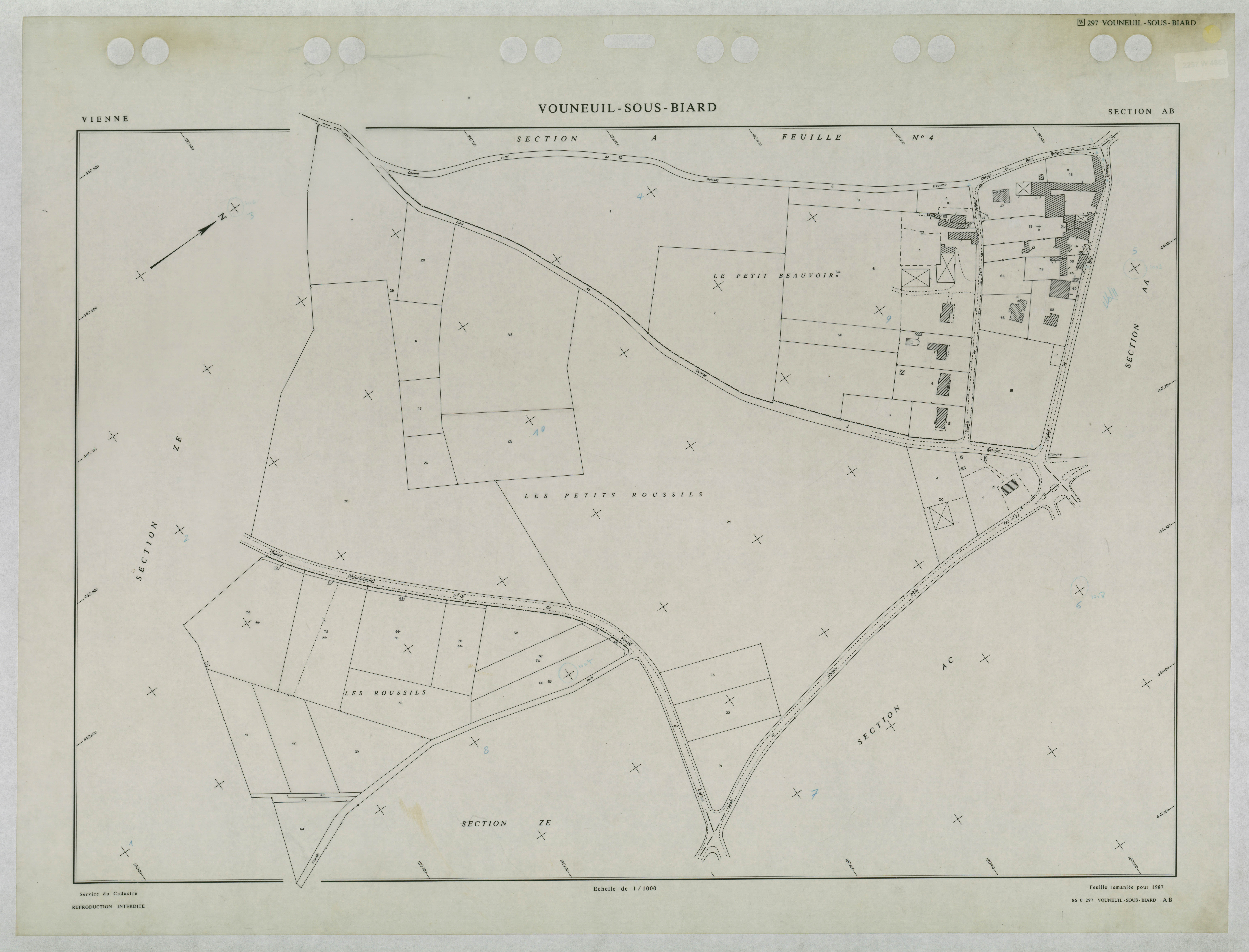 Vouneuil-sous-Biard - FRAD086_cadastre Plans remaniés 