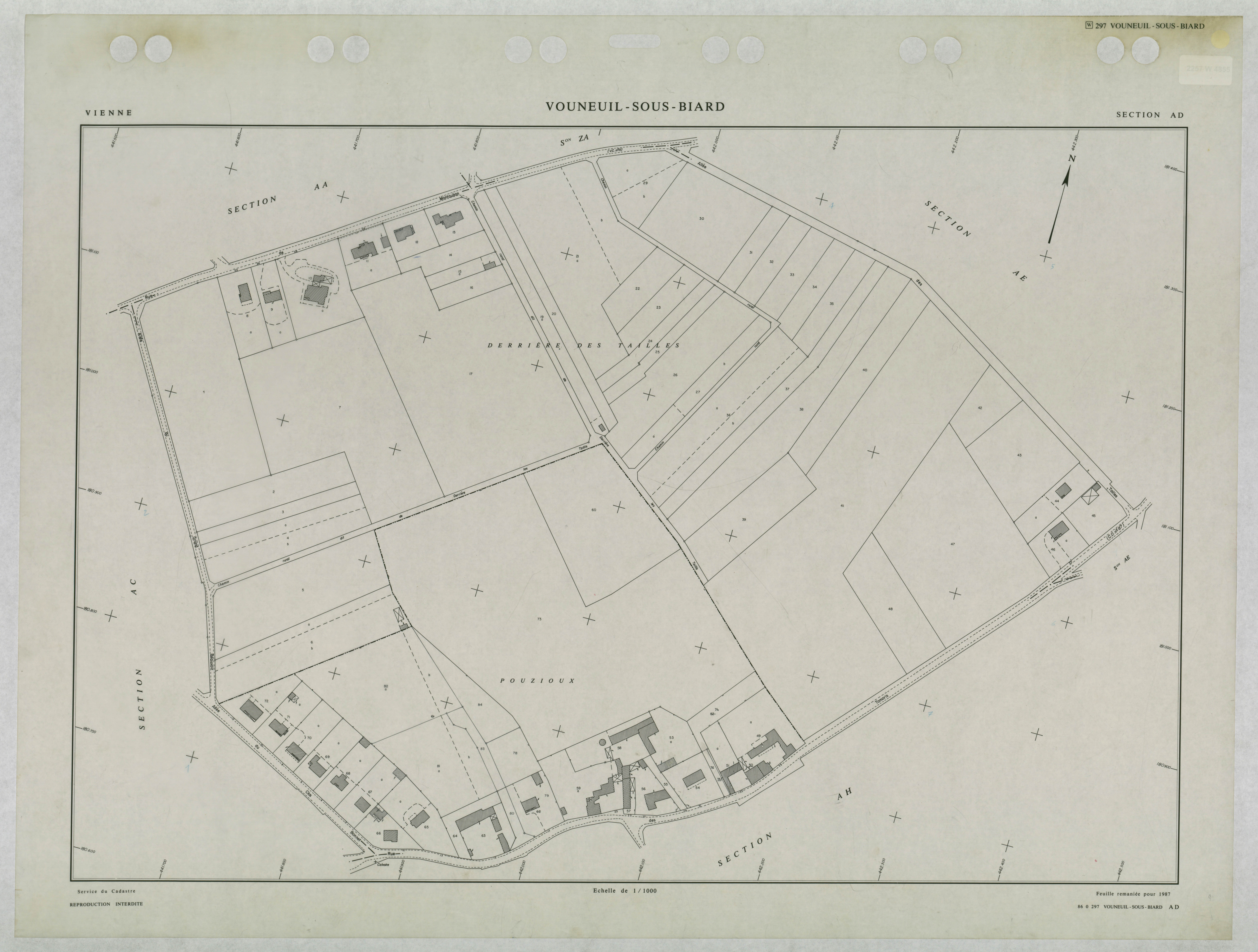 Vouneuil-sous-Biard - FRAD086_cadastre Plans remaniés 