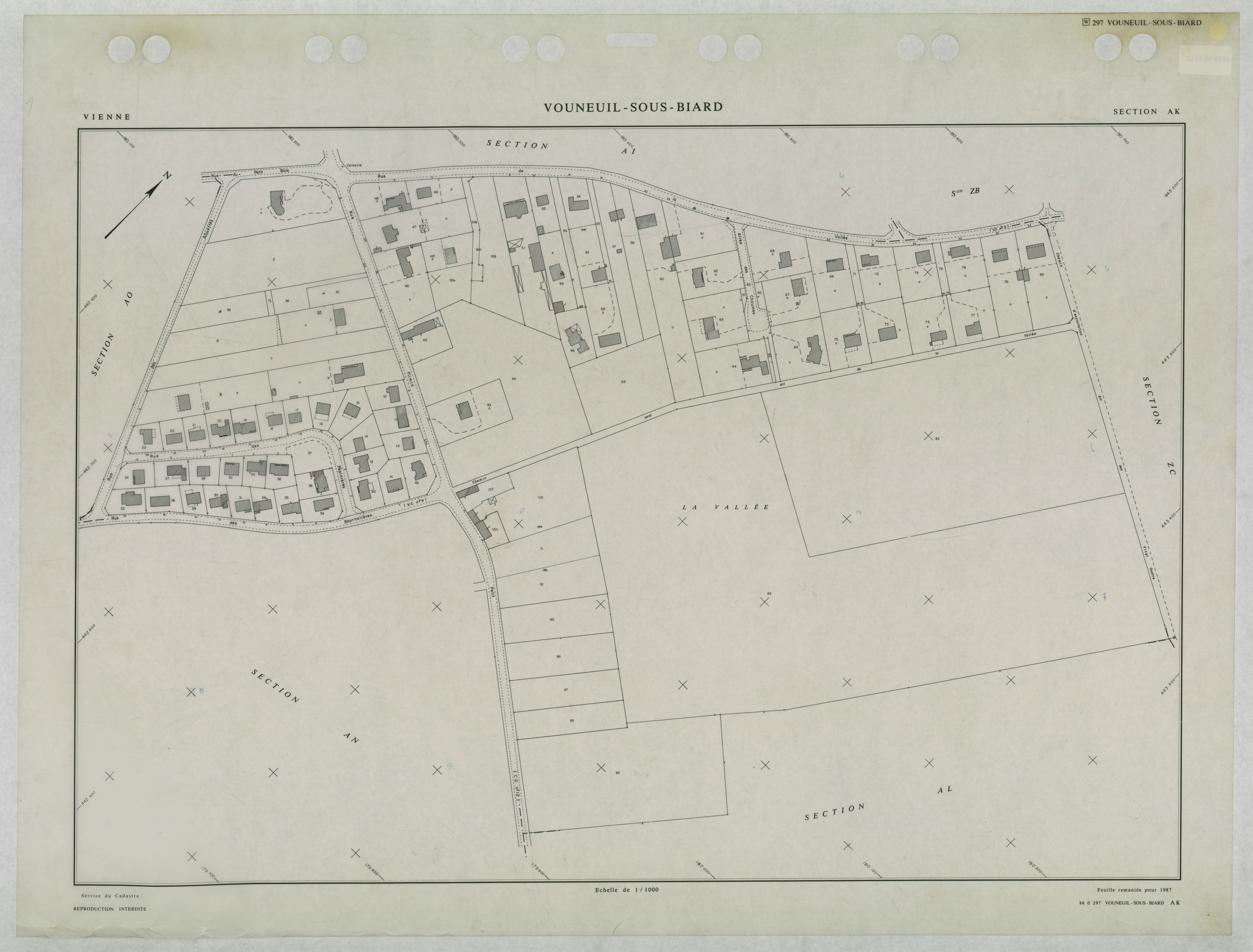 Vouneuil-sous-Biard - FRAD086_cadastre Plans remaniés 
