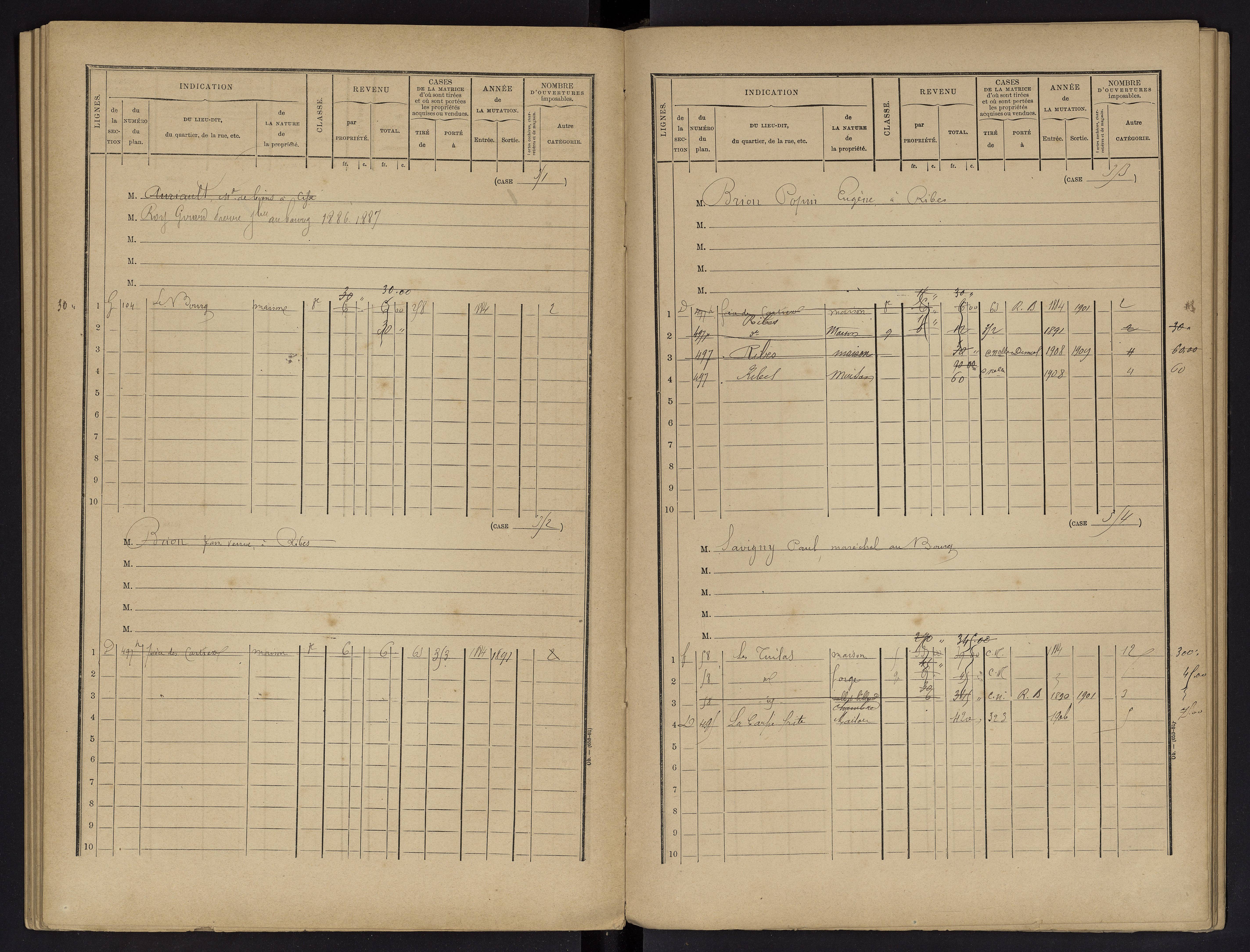 Vouneuil-sur-Vienne - FRAD086_cadastre Cases 1-479. 