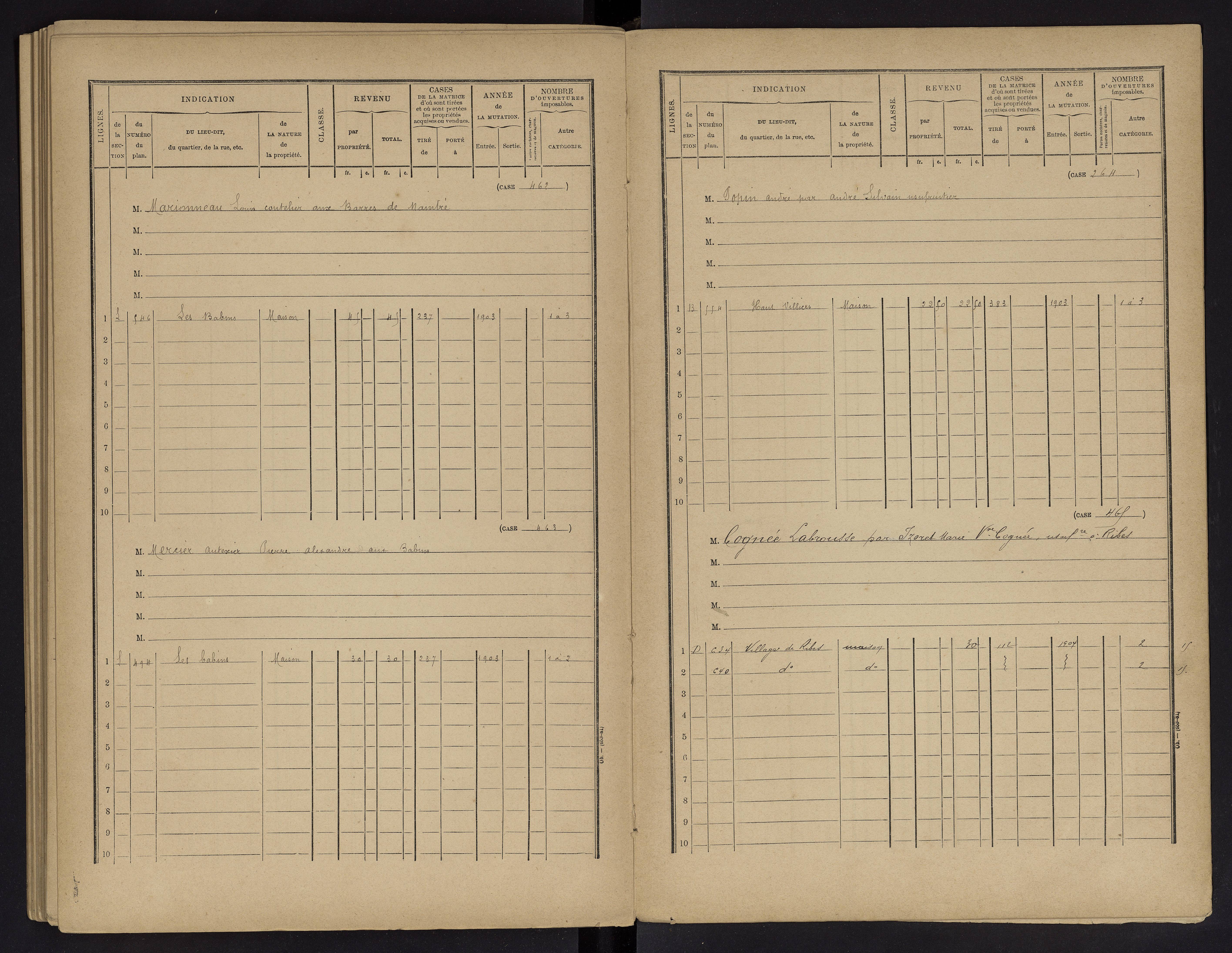 Vouneuil-sur-Vienne - FRAD086_cadastre Cases 1-479. 
