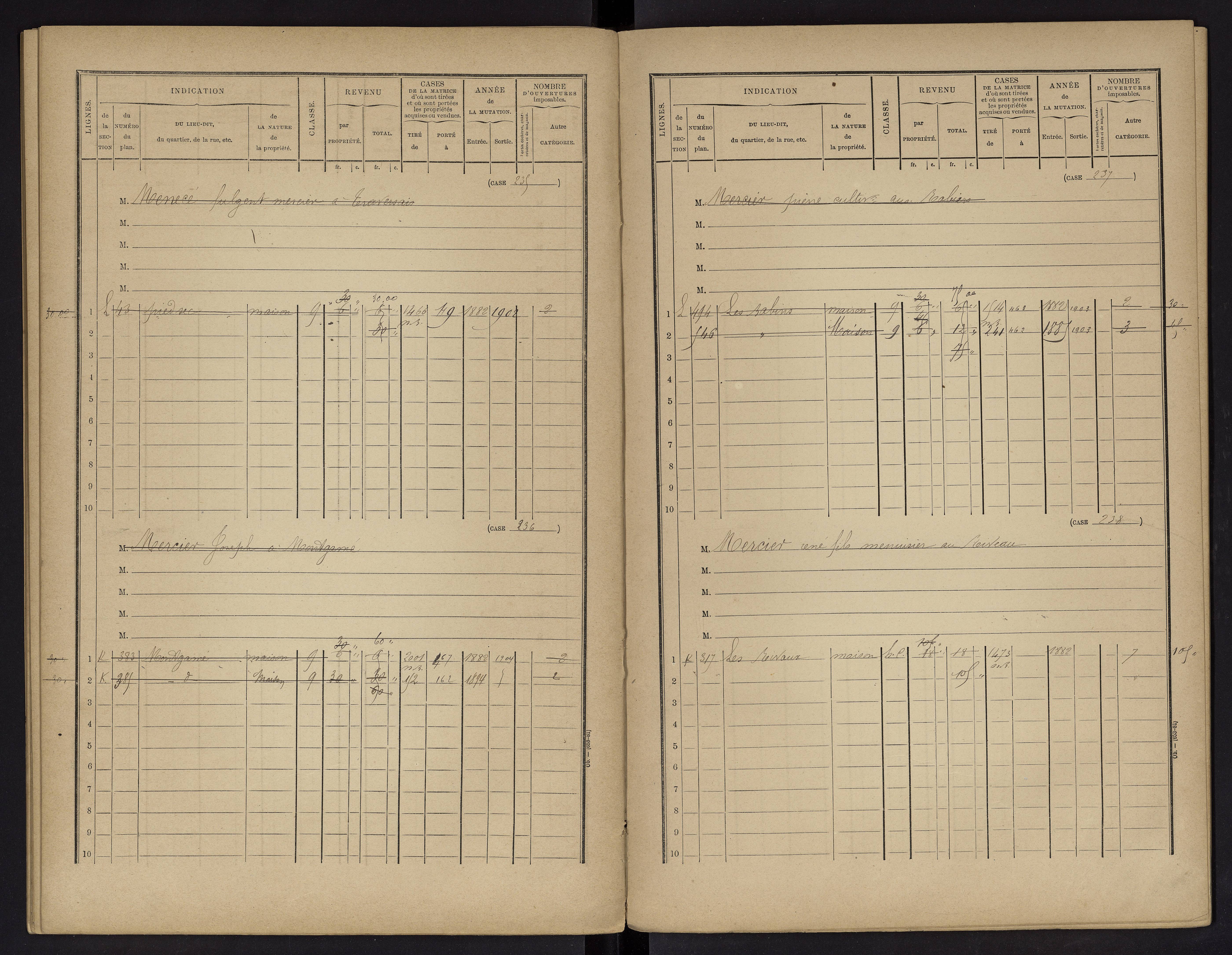 Vouneuil-sur-Vienne - FRAD086_cadastre Cases 1-479. 