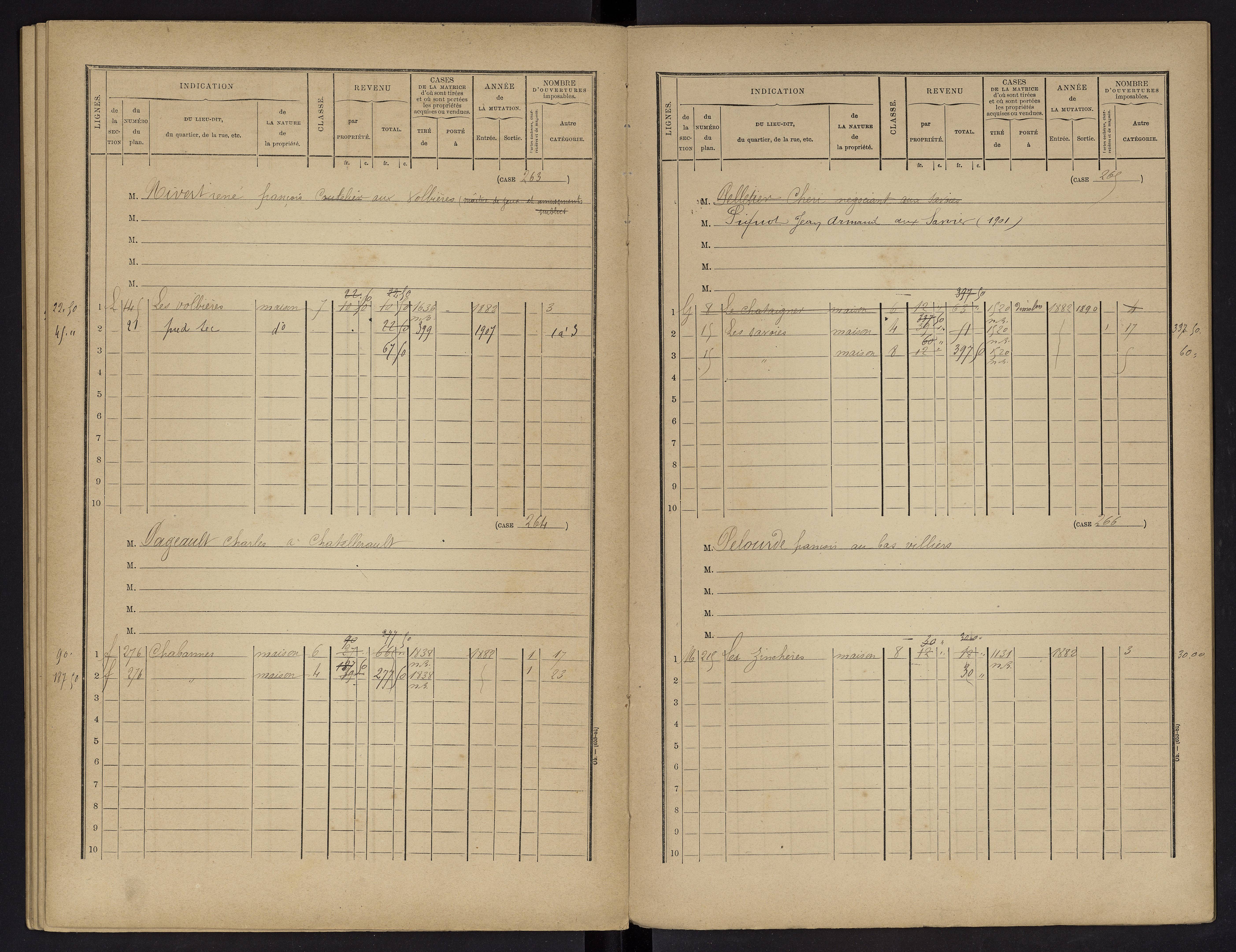 Vouneuil-sur-Vienne - FRAD086_cadastre Cases 1-479. 