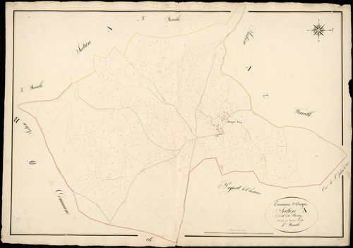 Augne 3 P 14 / 1 1834