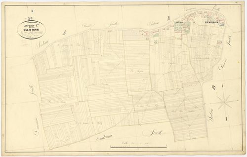 Beaumont