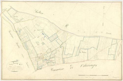 Brannay