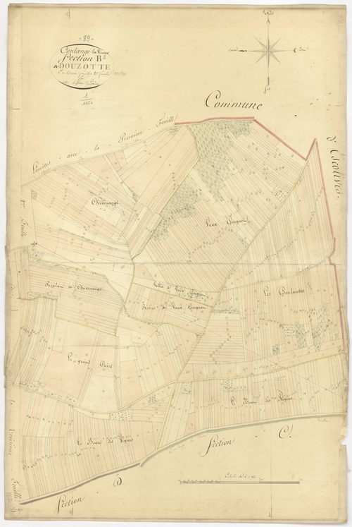 Coulanges-la-Vineuse