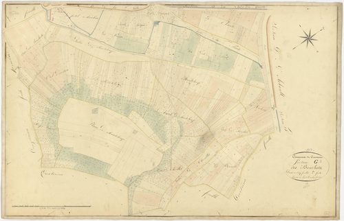 Cravant