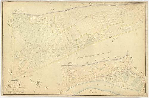 Cravant
