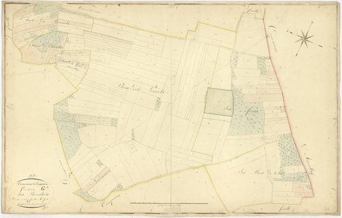 Cravant