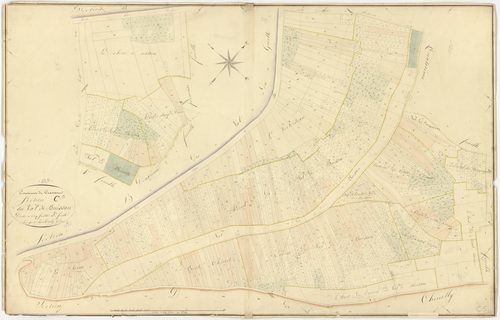 Cravant