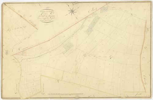 Cravant