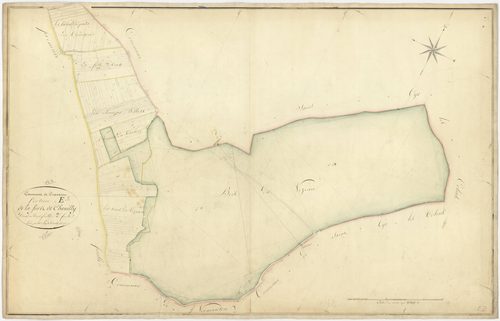 Cravant
