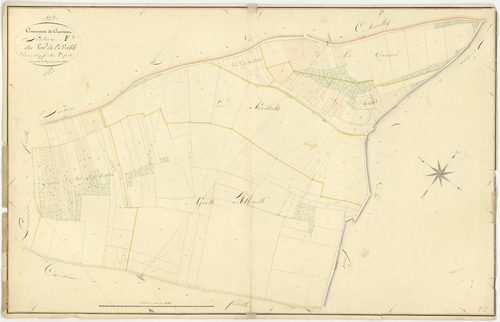Cravant