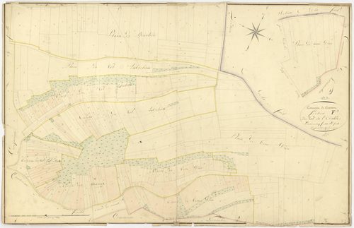 Cravant