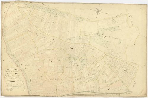Cravant