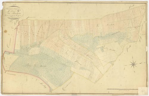 Cravant
