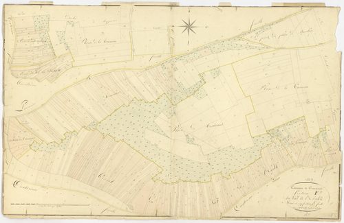Cravant