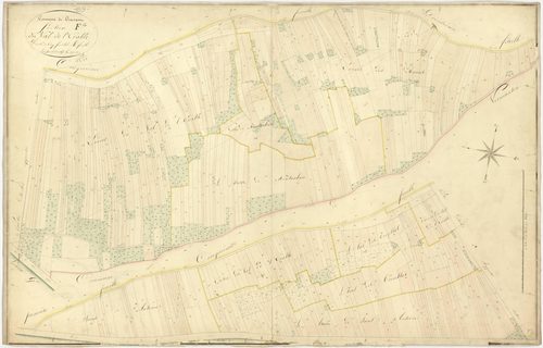 Cravant