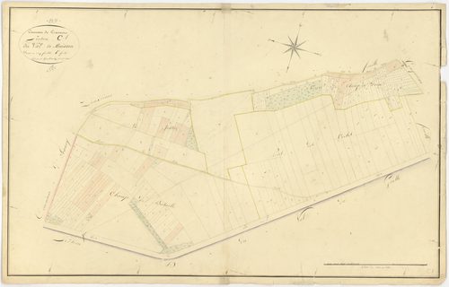 Cravant