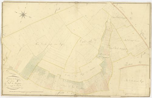 Cravant